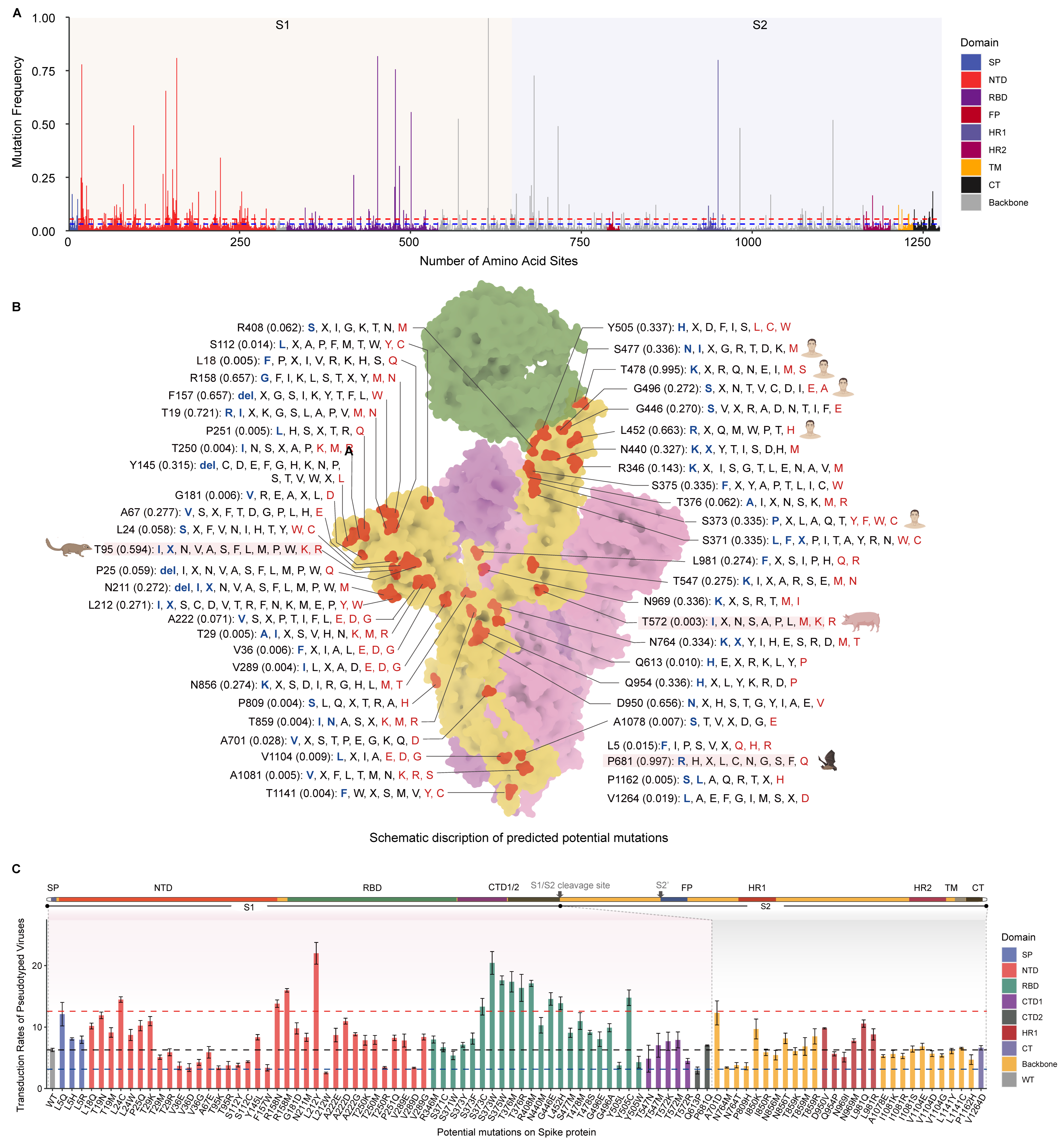 Genes 15 01321 g004