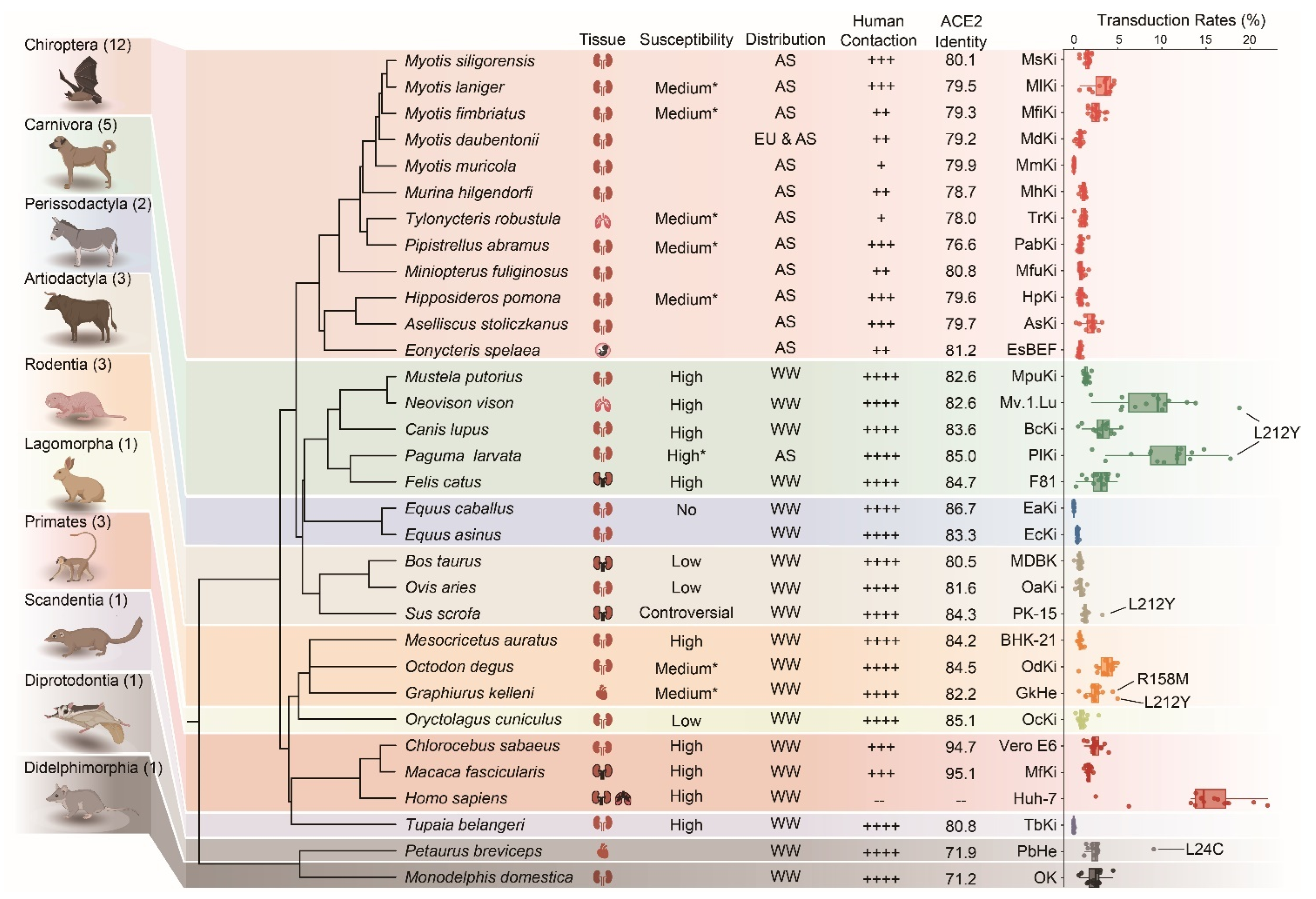 Genes 15 01321 g005