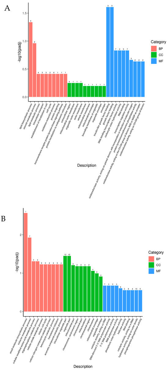 Genes 15 01345 g005a Genes 15 01345 g005a