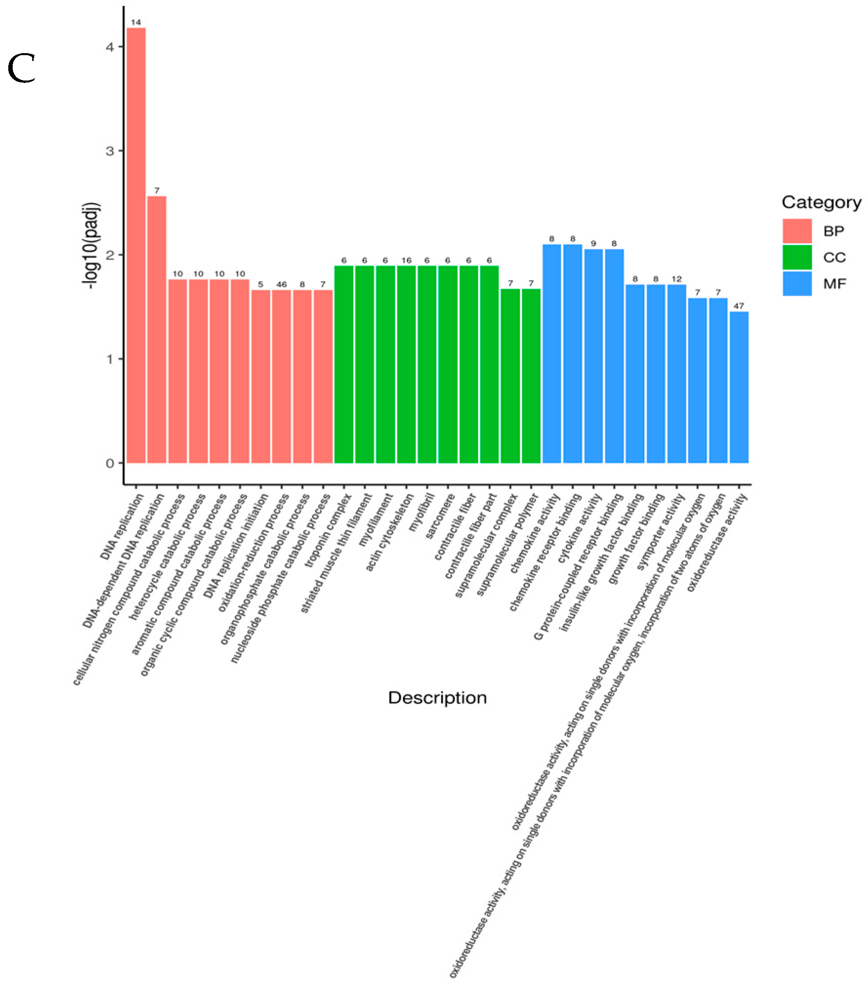 Genes 15 01345 g005b Genes 15 01345 g005b