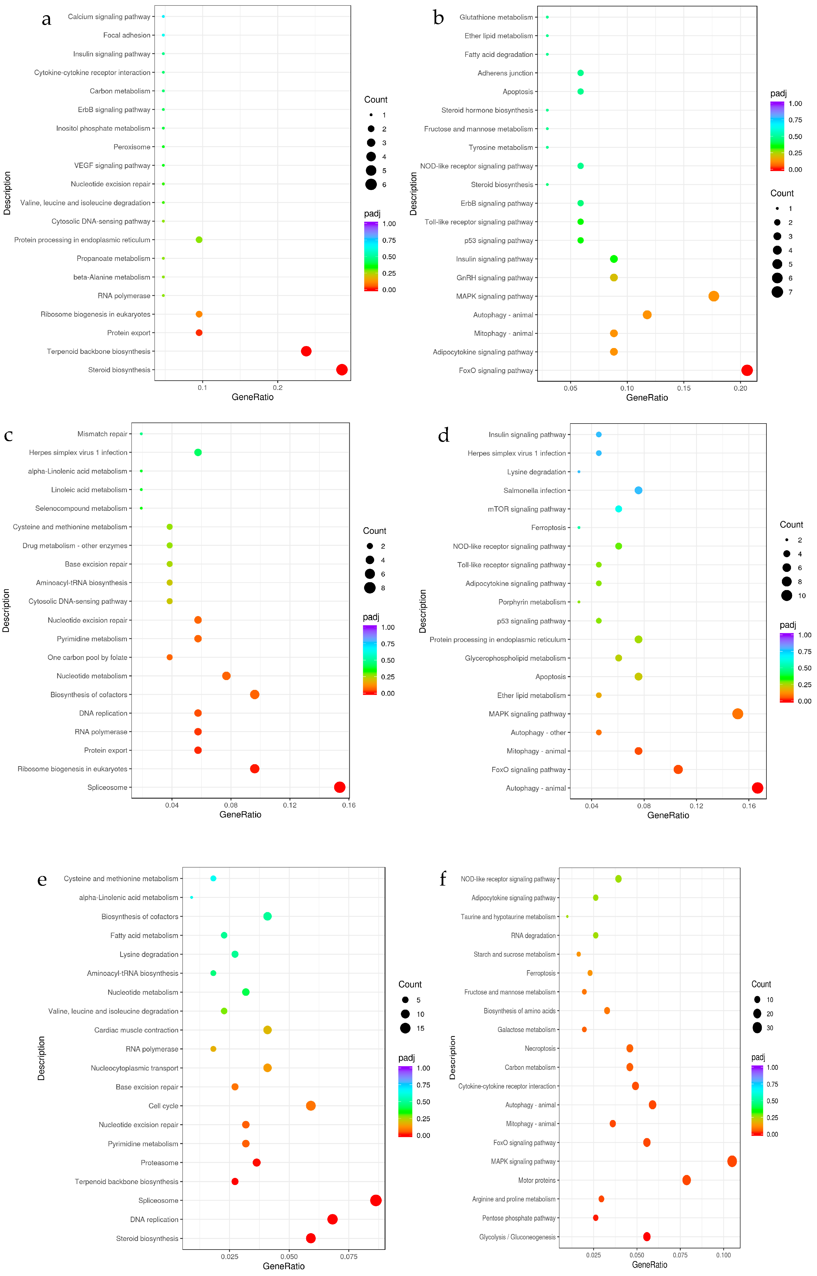 Genes 15 01345 g006 Genes 15 01345 g006