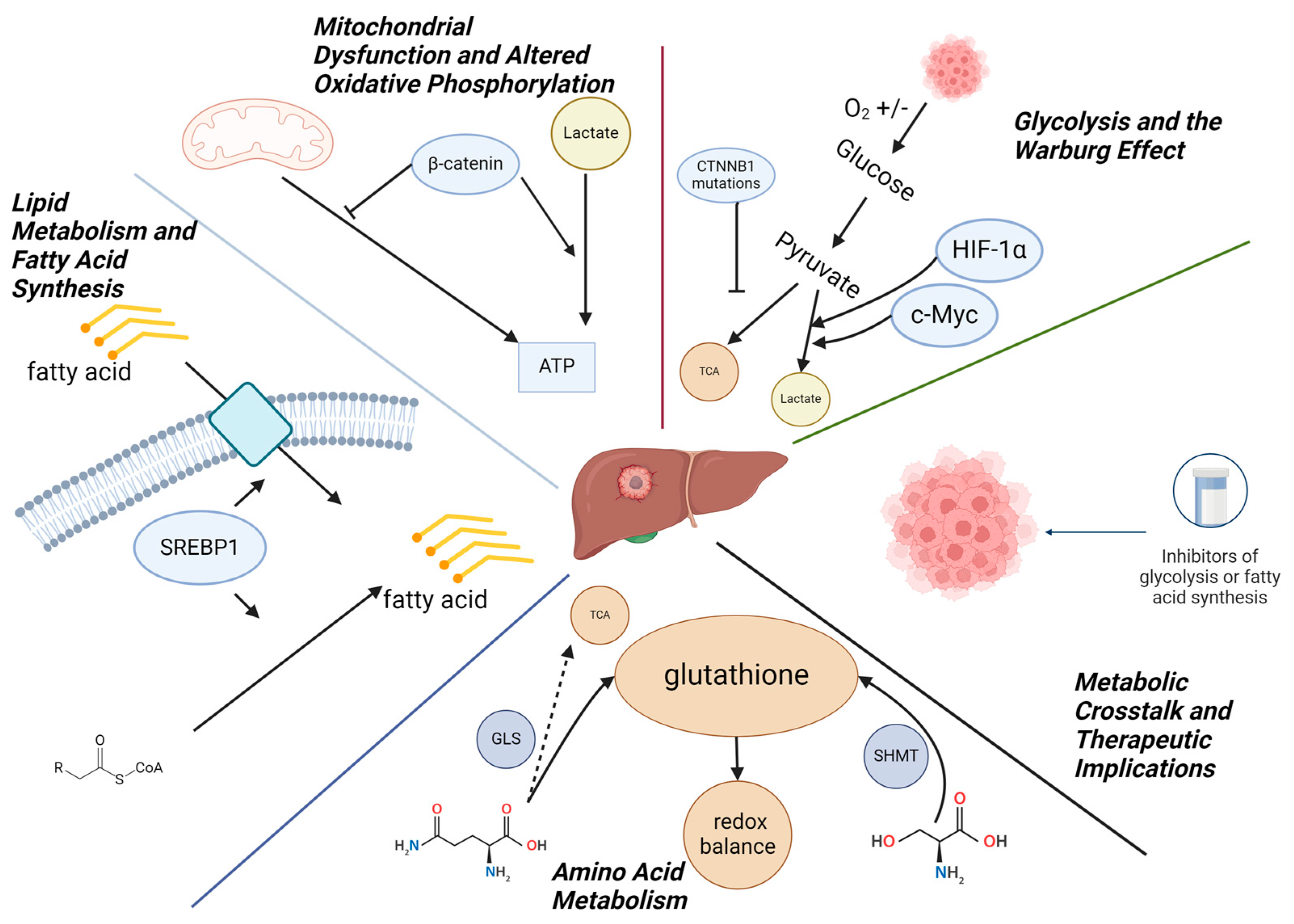 Genes 15 01358 g001 Genes 15 01358 g001