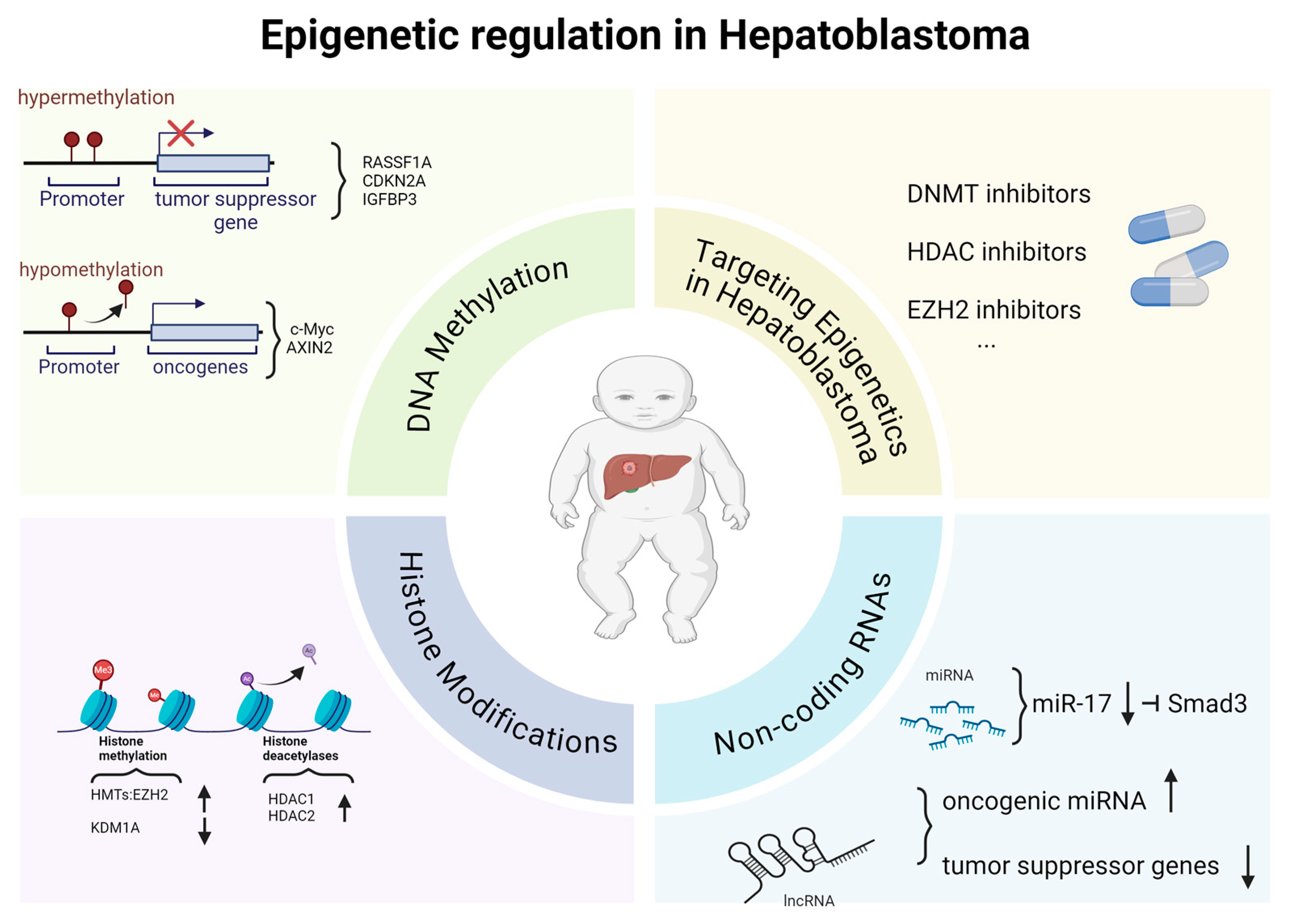 Genes 15 01358 g002 Genes 15 01358 g002