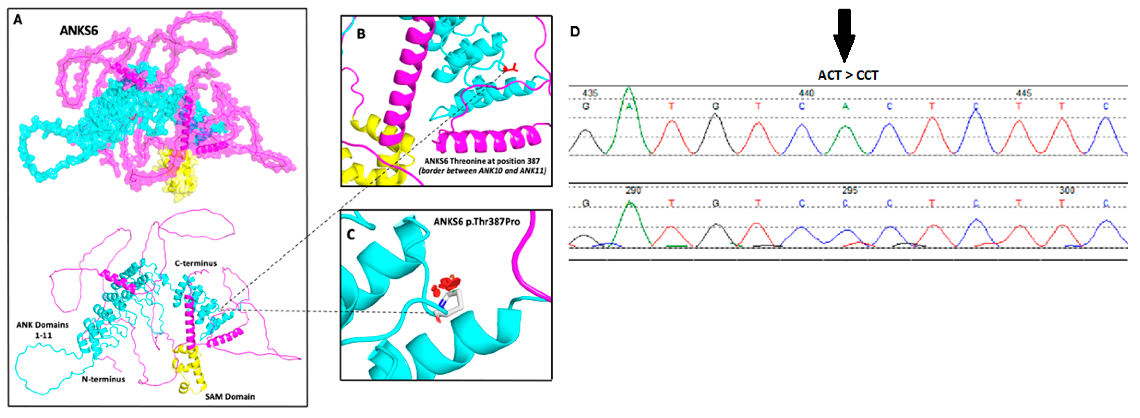 Genes 15 01374 g002 Genes 15 01374 g002