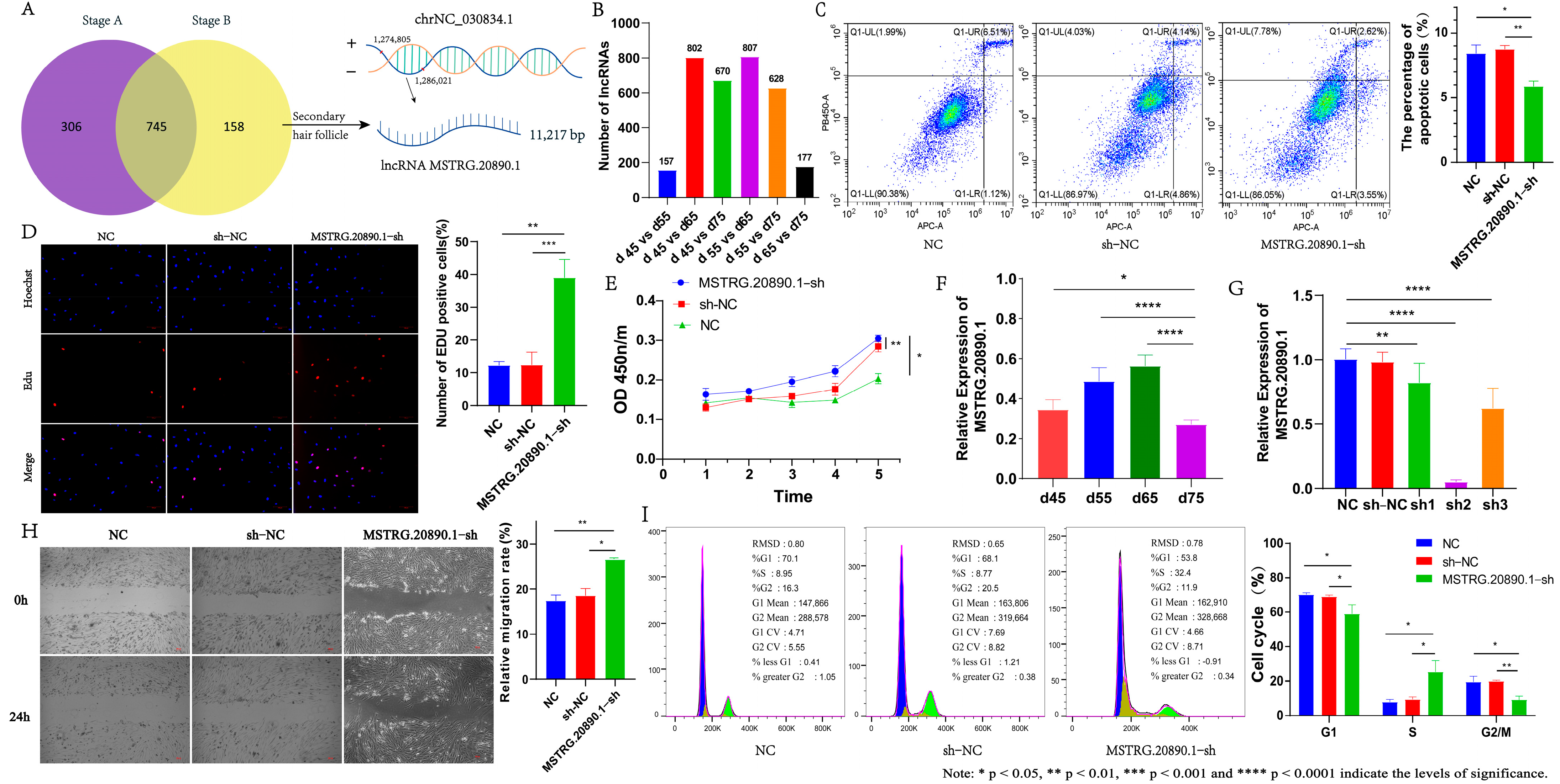 Genes 15 01392 g001 Genes 15 01392 g001