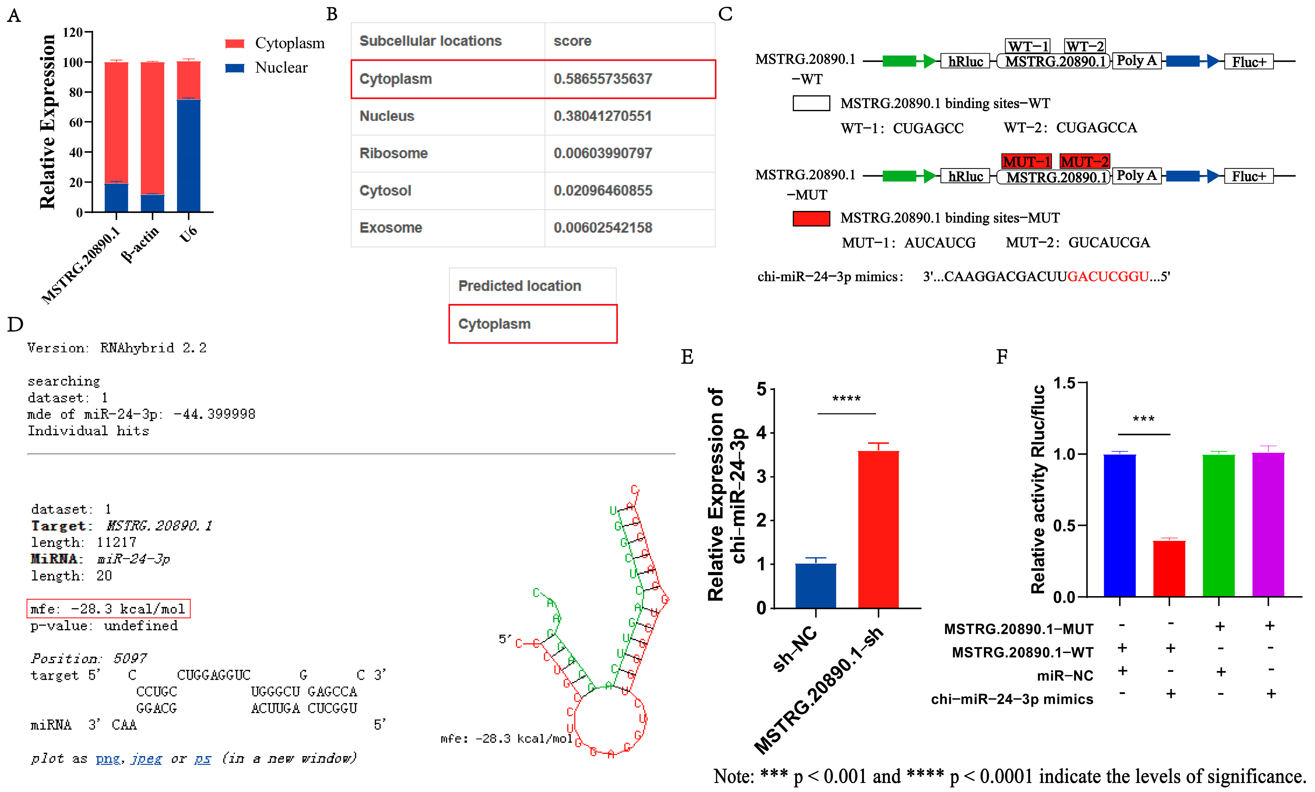 Genes 15 01392 g002 Genes 15 01392 g002