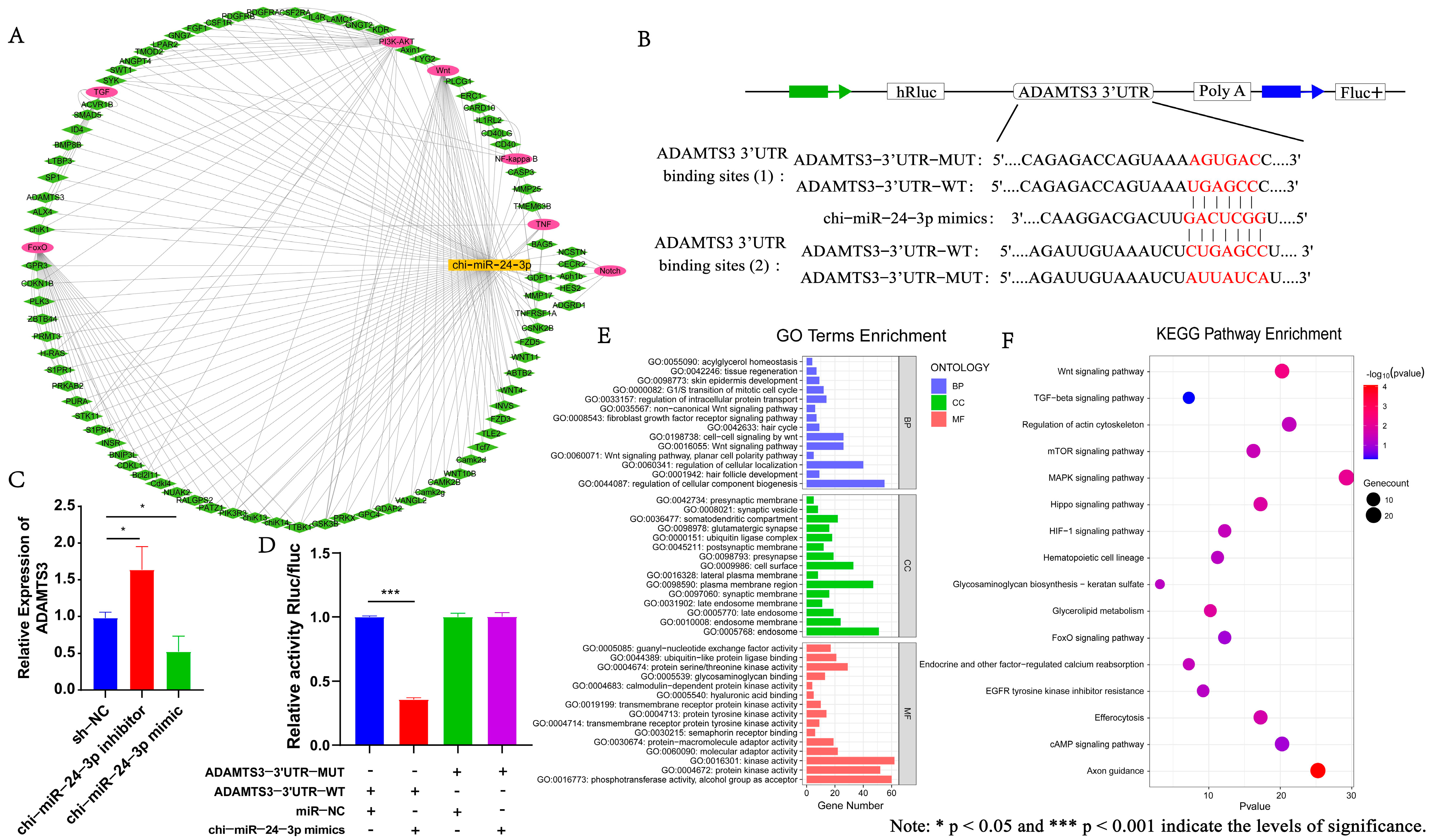 Genes 15 01392 g004 Genes 15 01392 g004