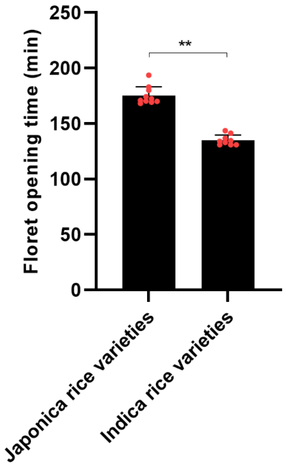 Genes 15 01396 g001 Genes 15 01396 g001