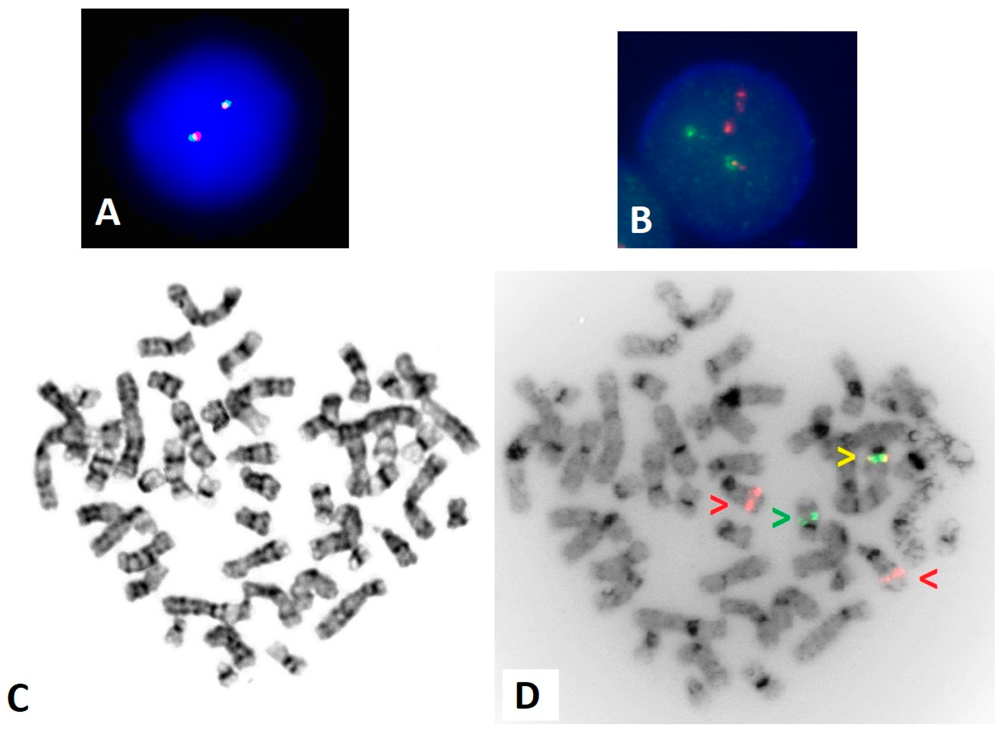 Genes 15 01402 g002 Genes 15 01402 g002