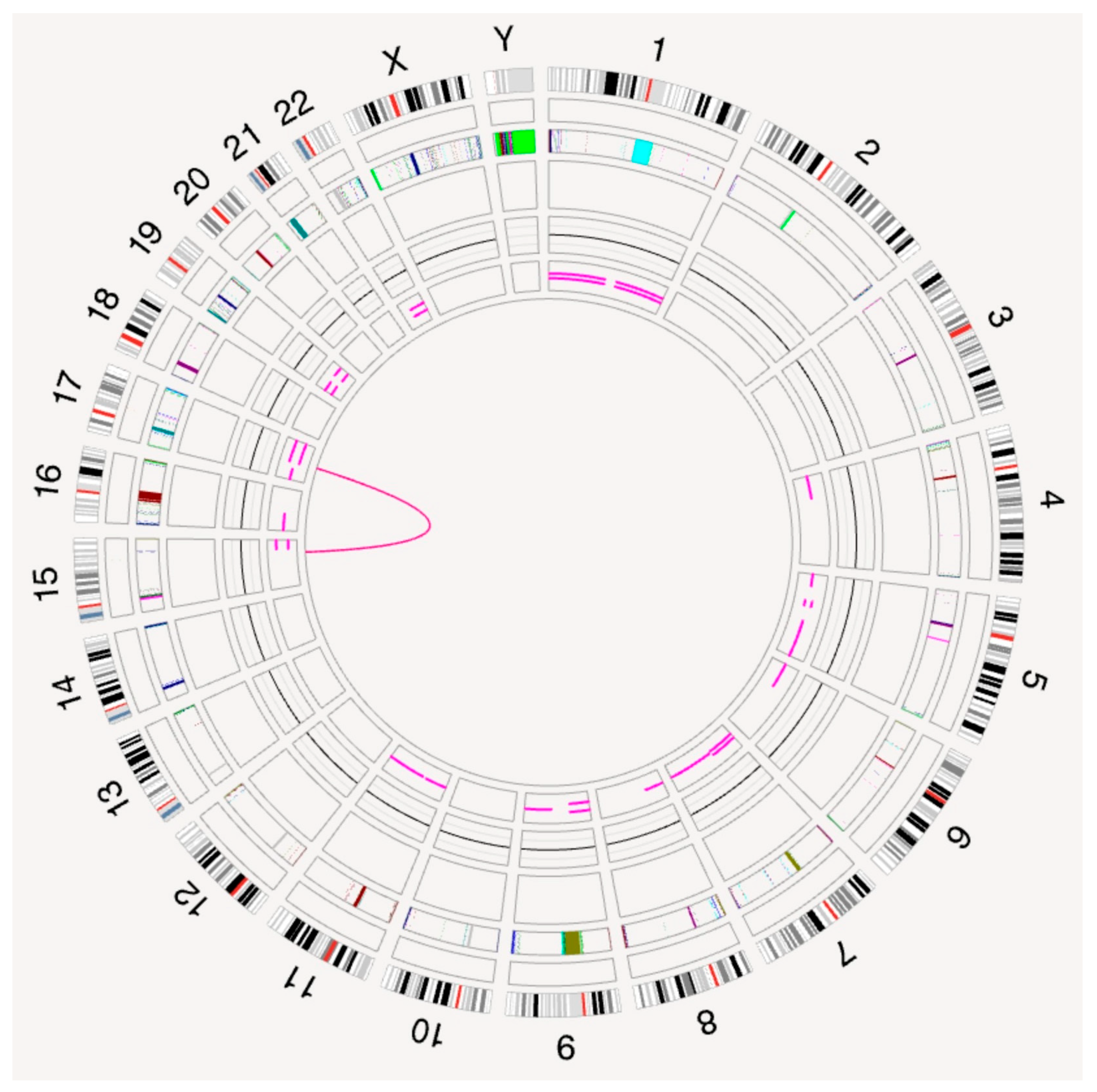 Genes 15 01402 g003 Genes 15 01402 g003