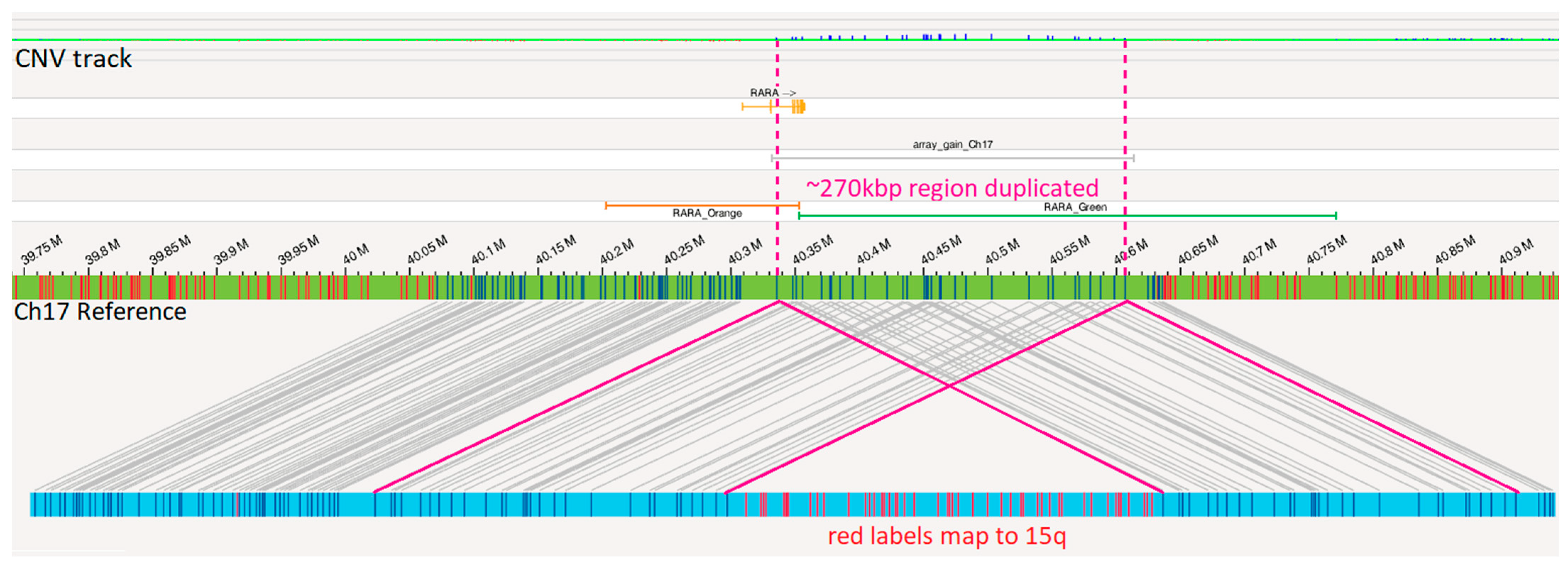 Genes 15 01402 g005 Genes 15 01402 g005