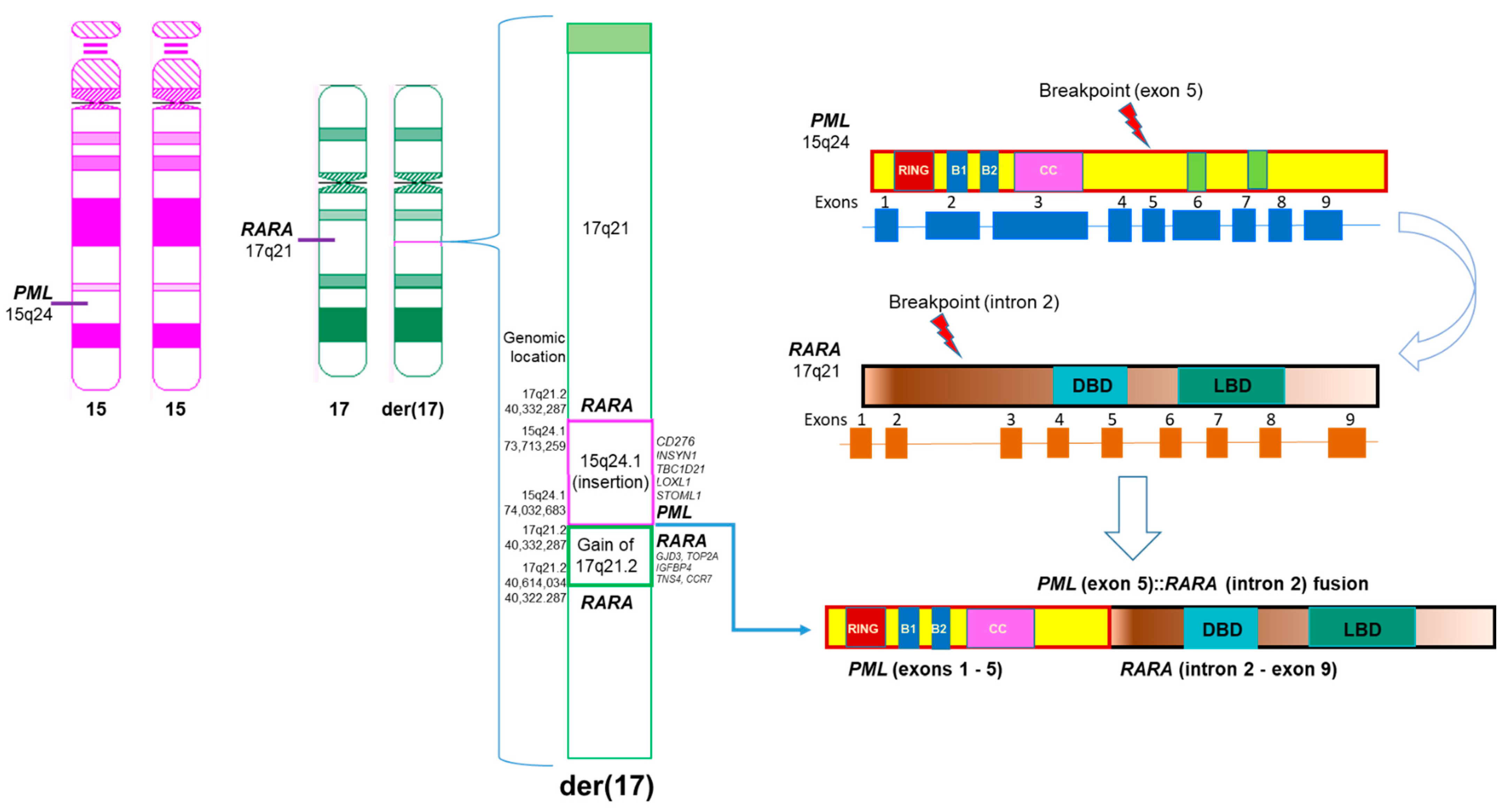 Genes 15 01402 g006 Genes 15 01402 g006