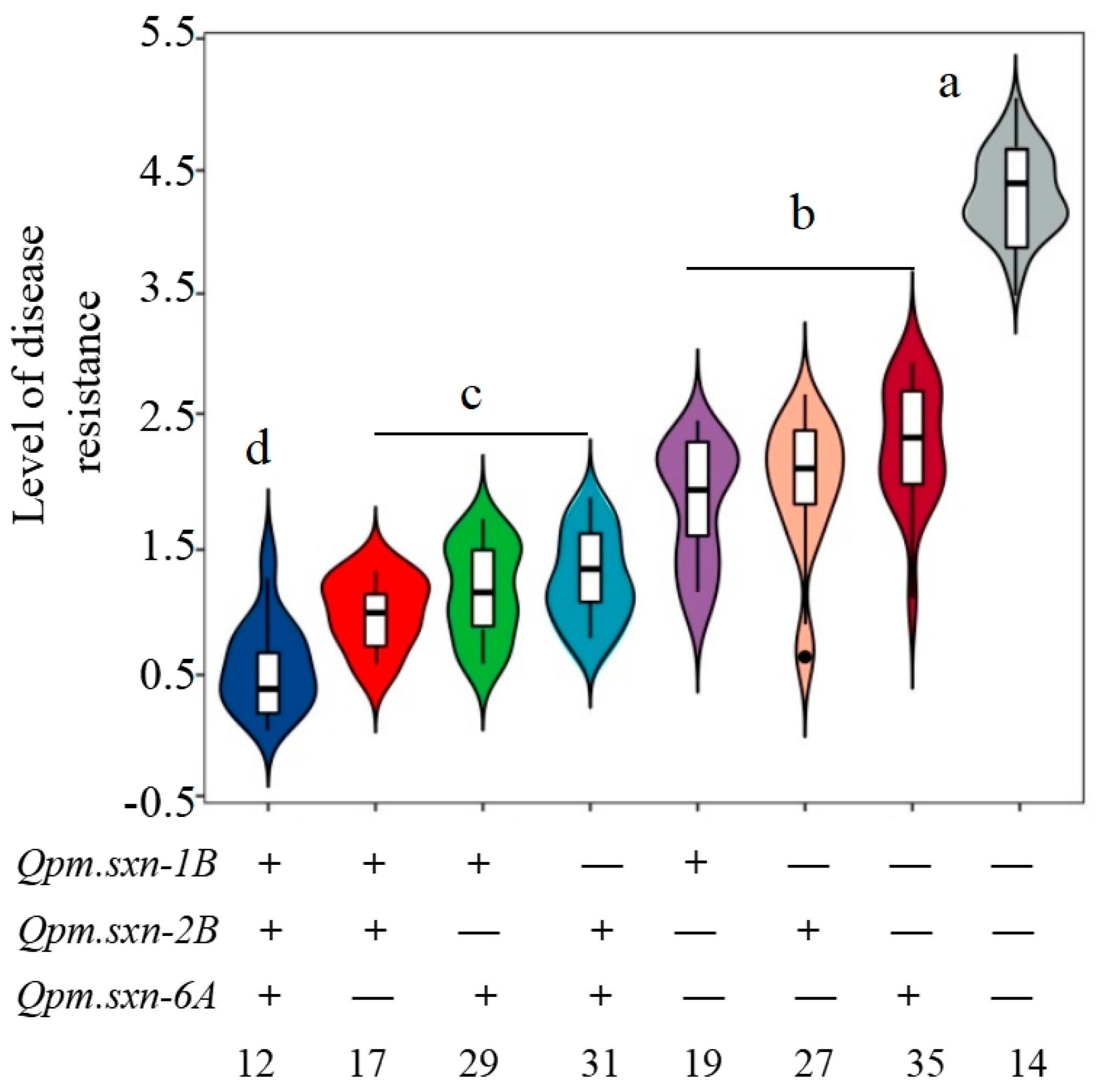 Genes 15 01438 g004
