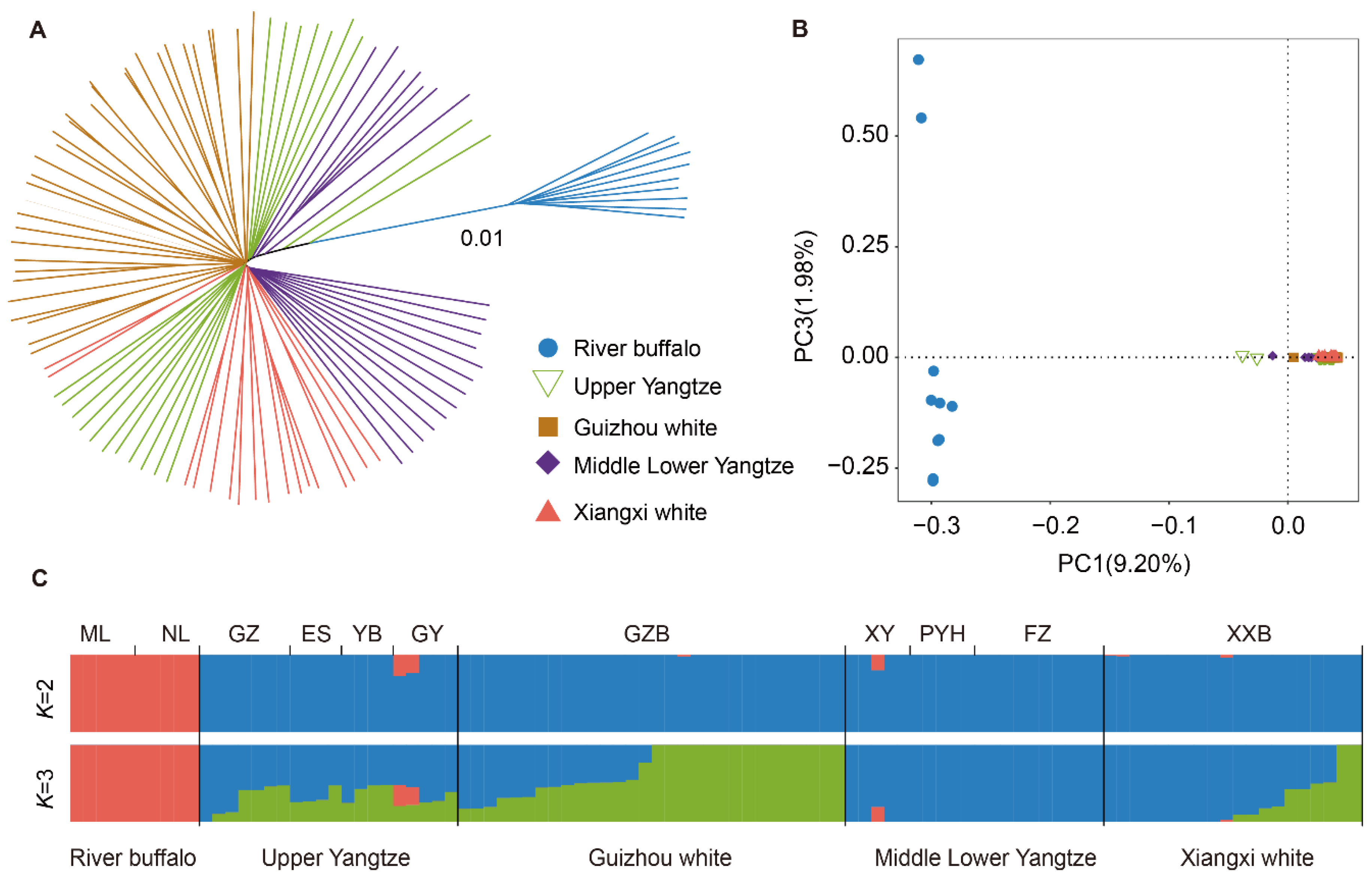 Genes 15 01450 g001 Genes 15 01450 g001