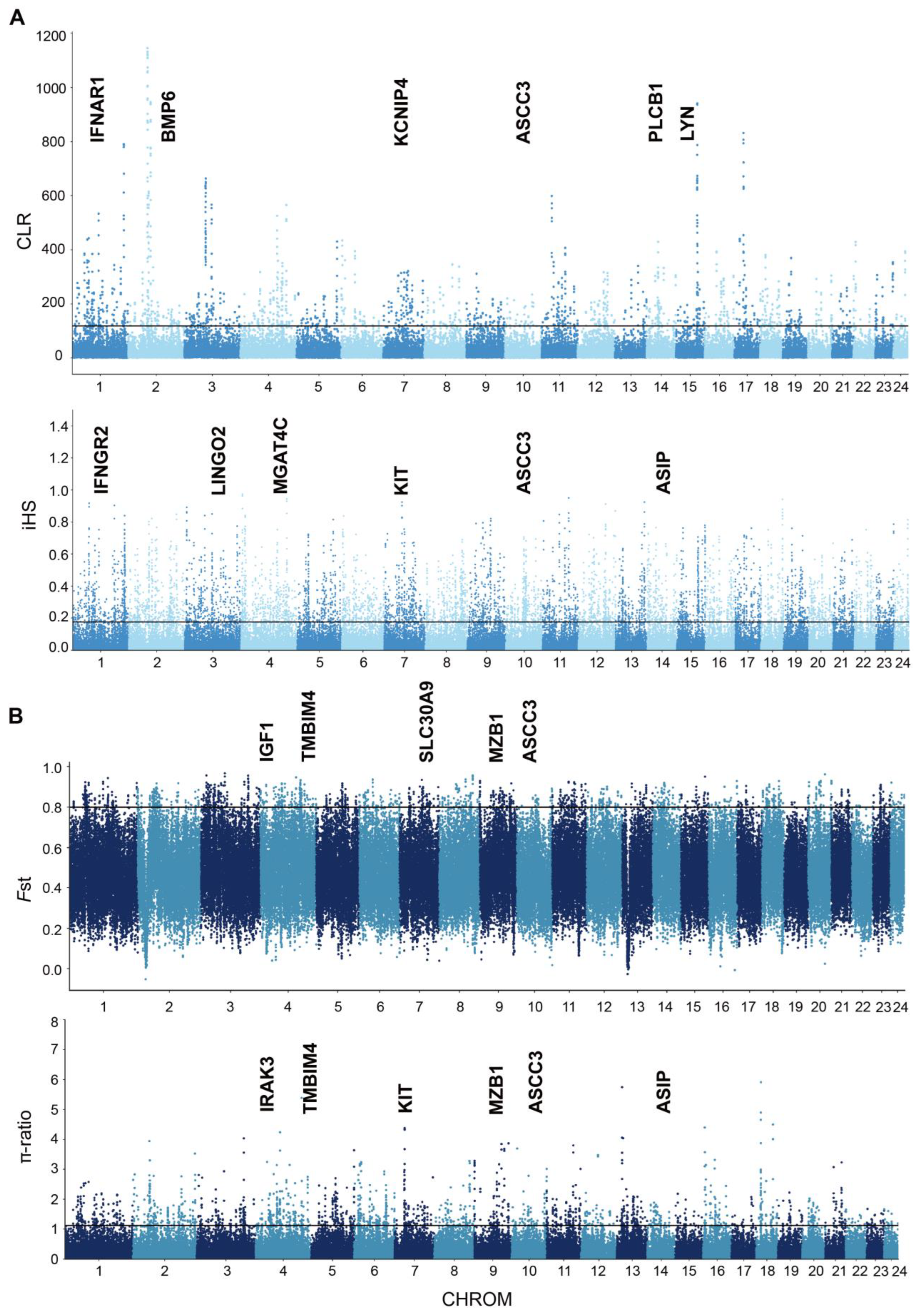 Genes 15 01450 g003 Genes 15 01450 g003
