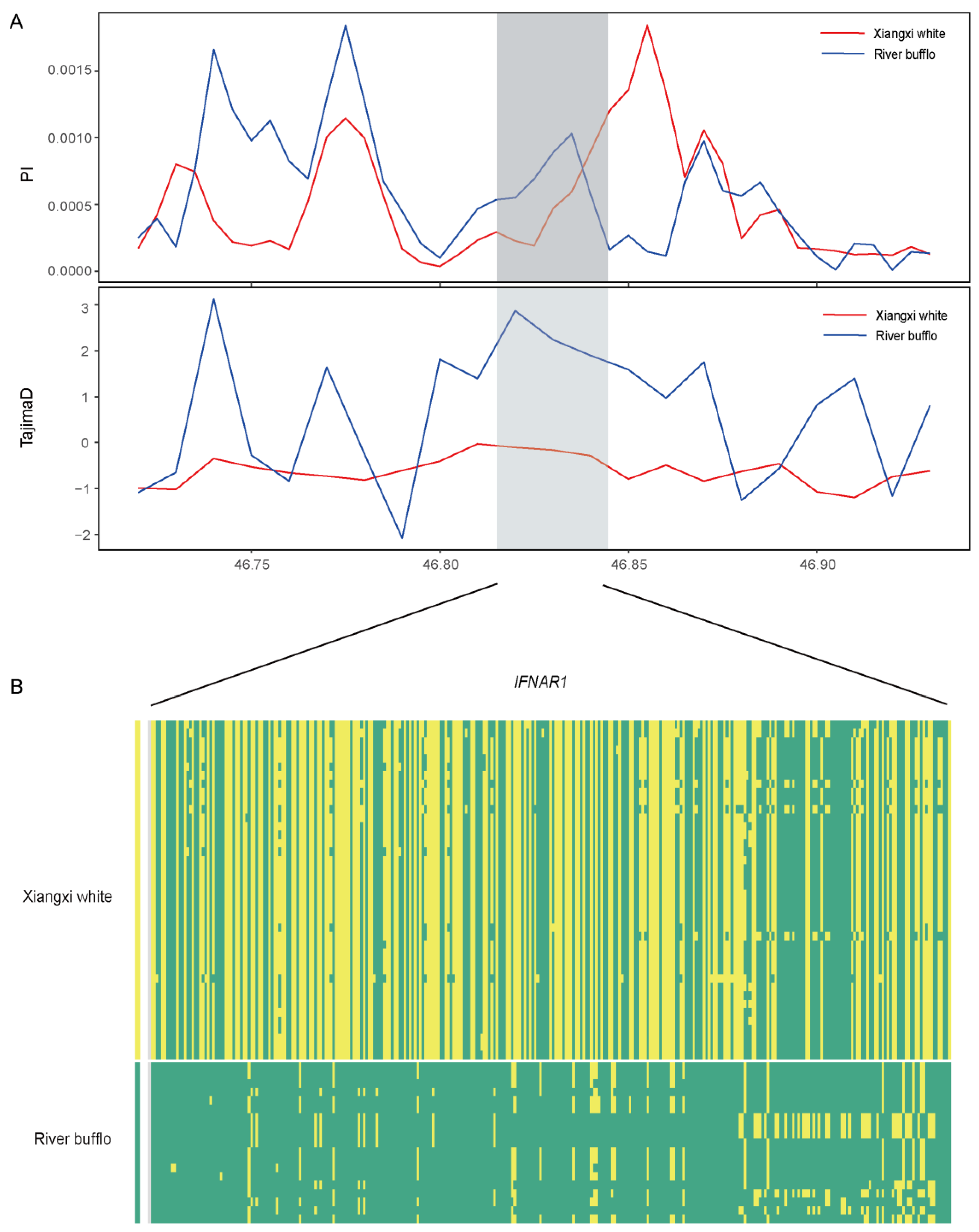 Genes 15 01450 g004 Genes 15 01450 g004