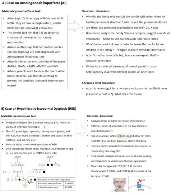 Genes 15 01499 g001a