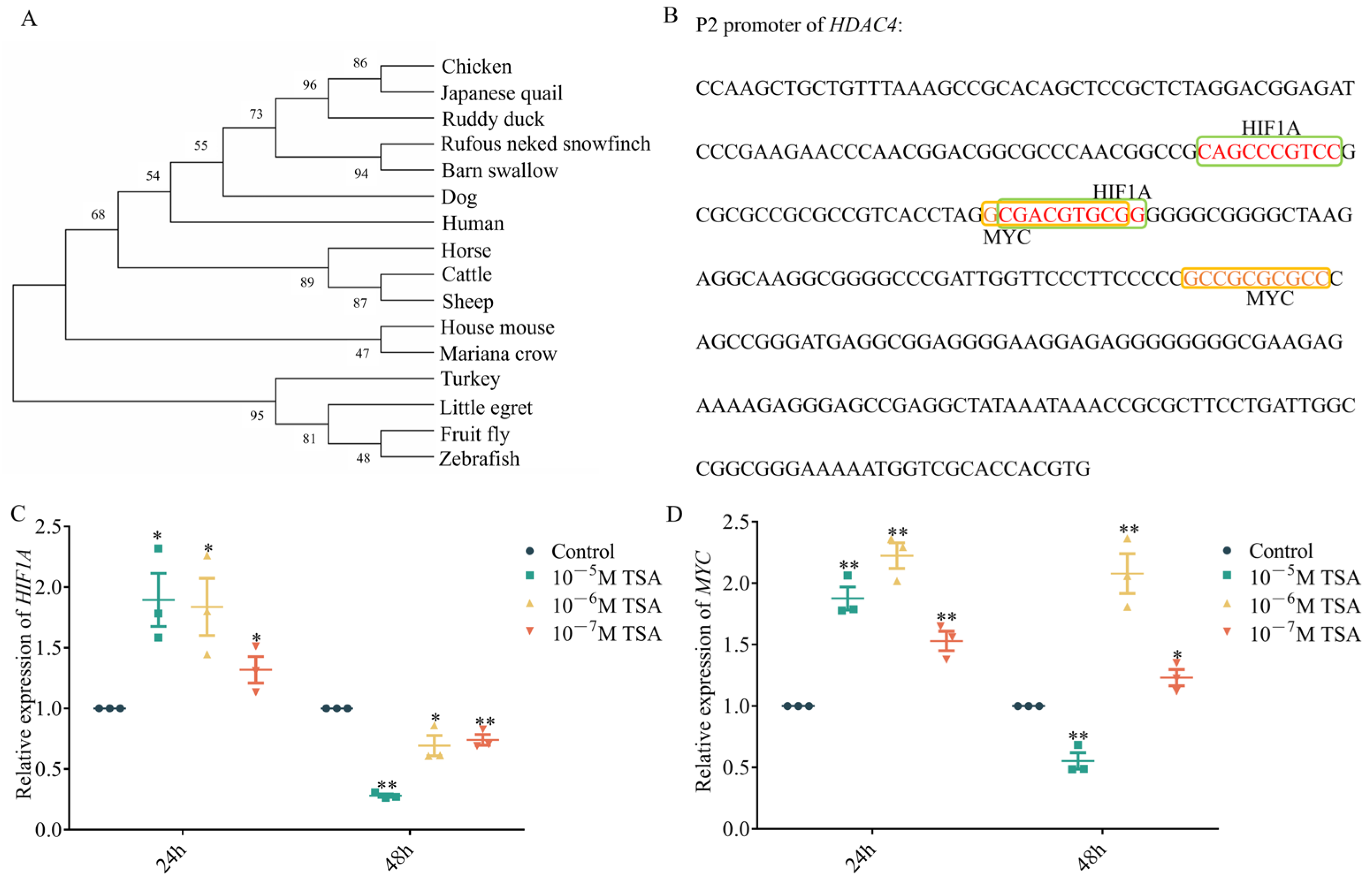 Genes 15 01518 g003