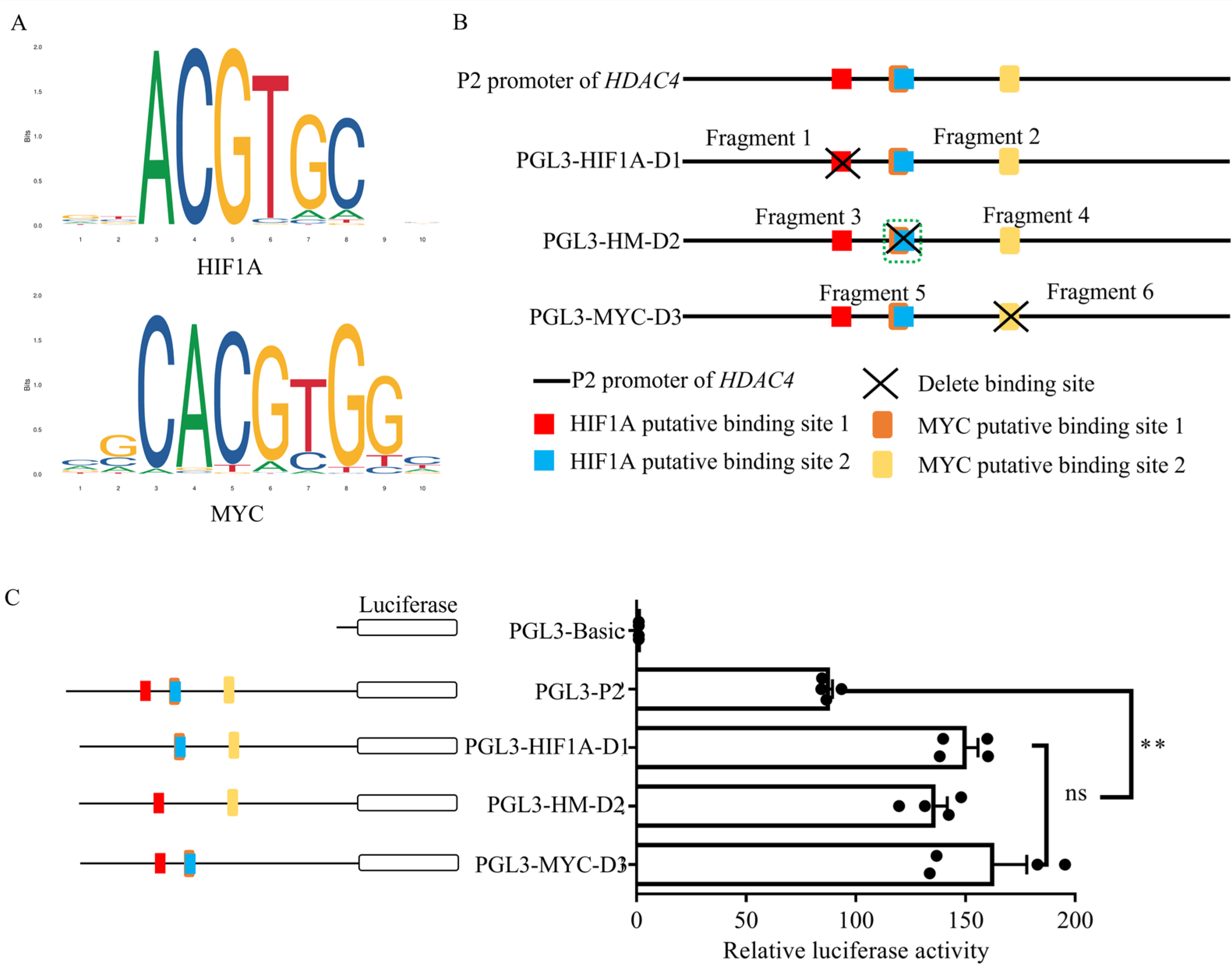 Genes 15 01518 g004