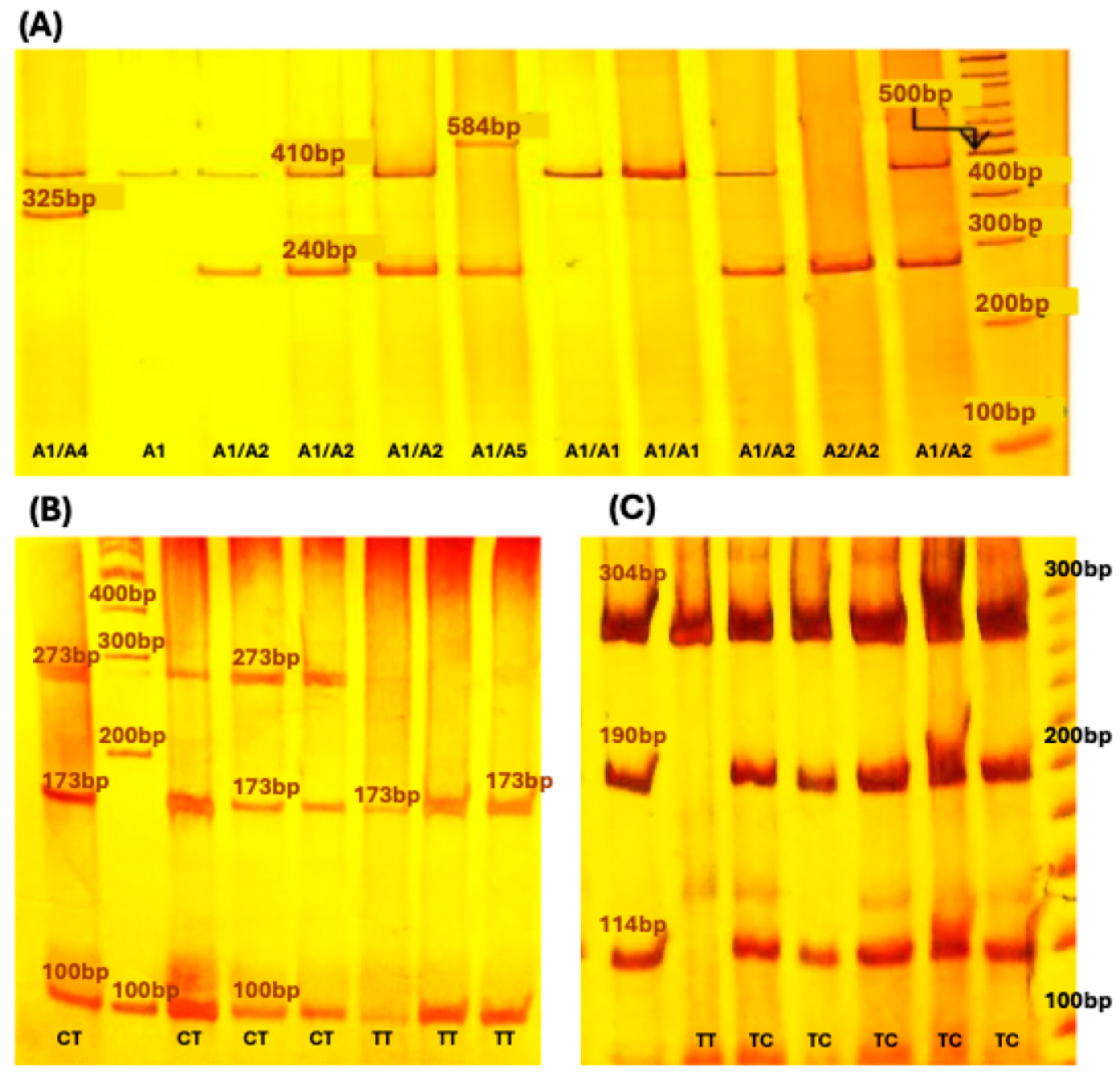 Genes 15 01528 g001 Genes 15 01528 g001