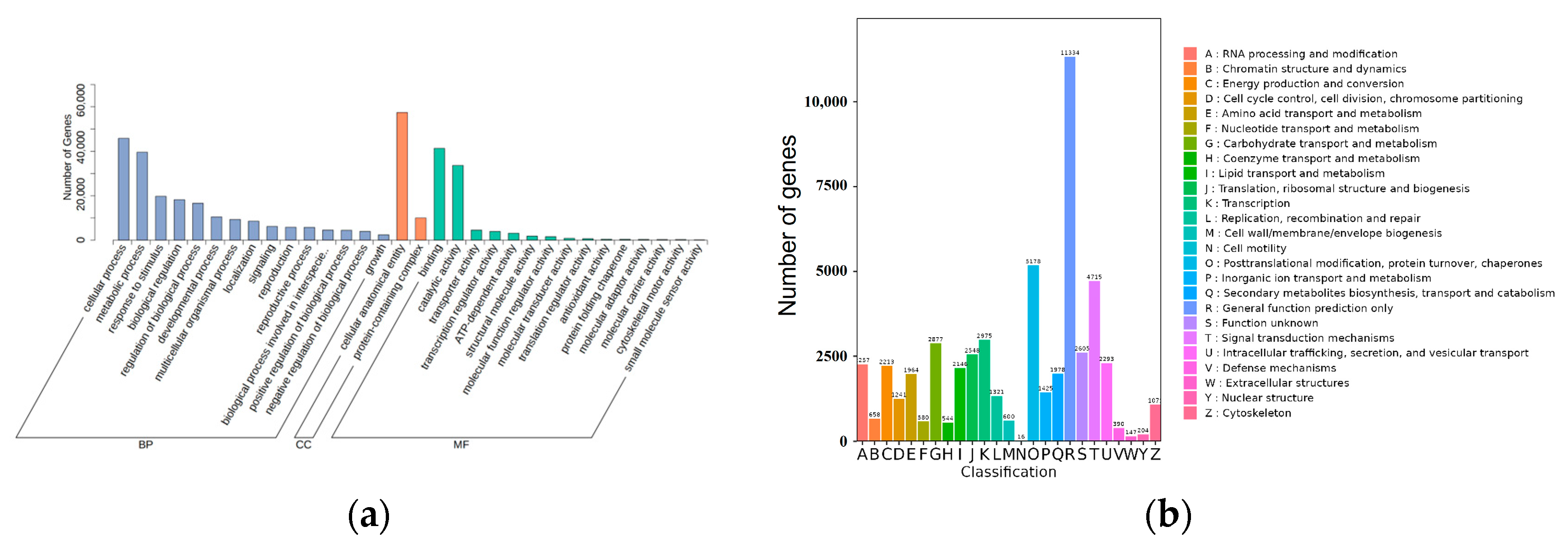 Genes 15 01539 g002 Genes 15 01539 g002