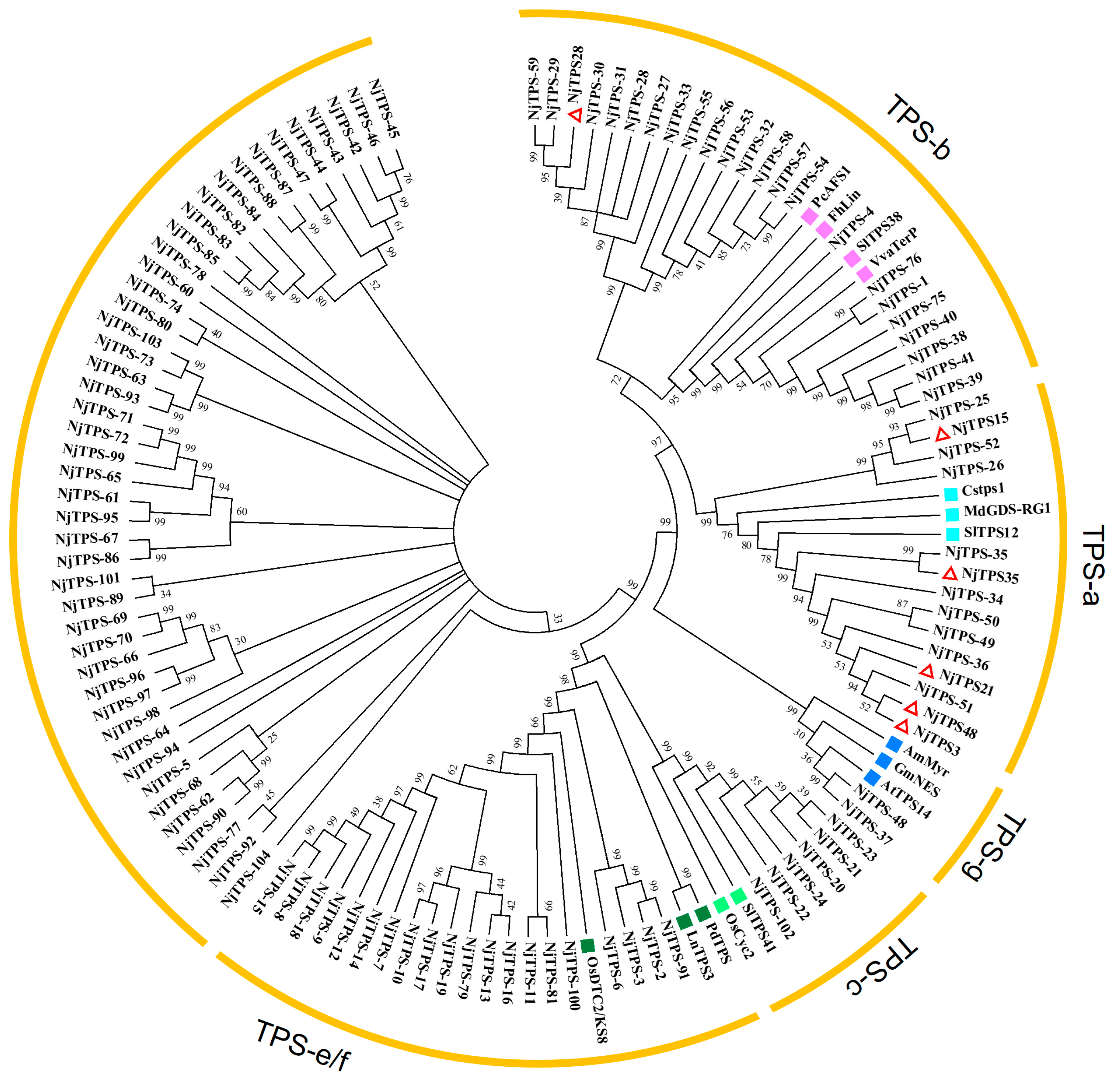 Genes 15 01539 g003 Genes 15 01539 g003