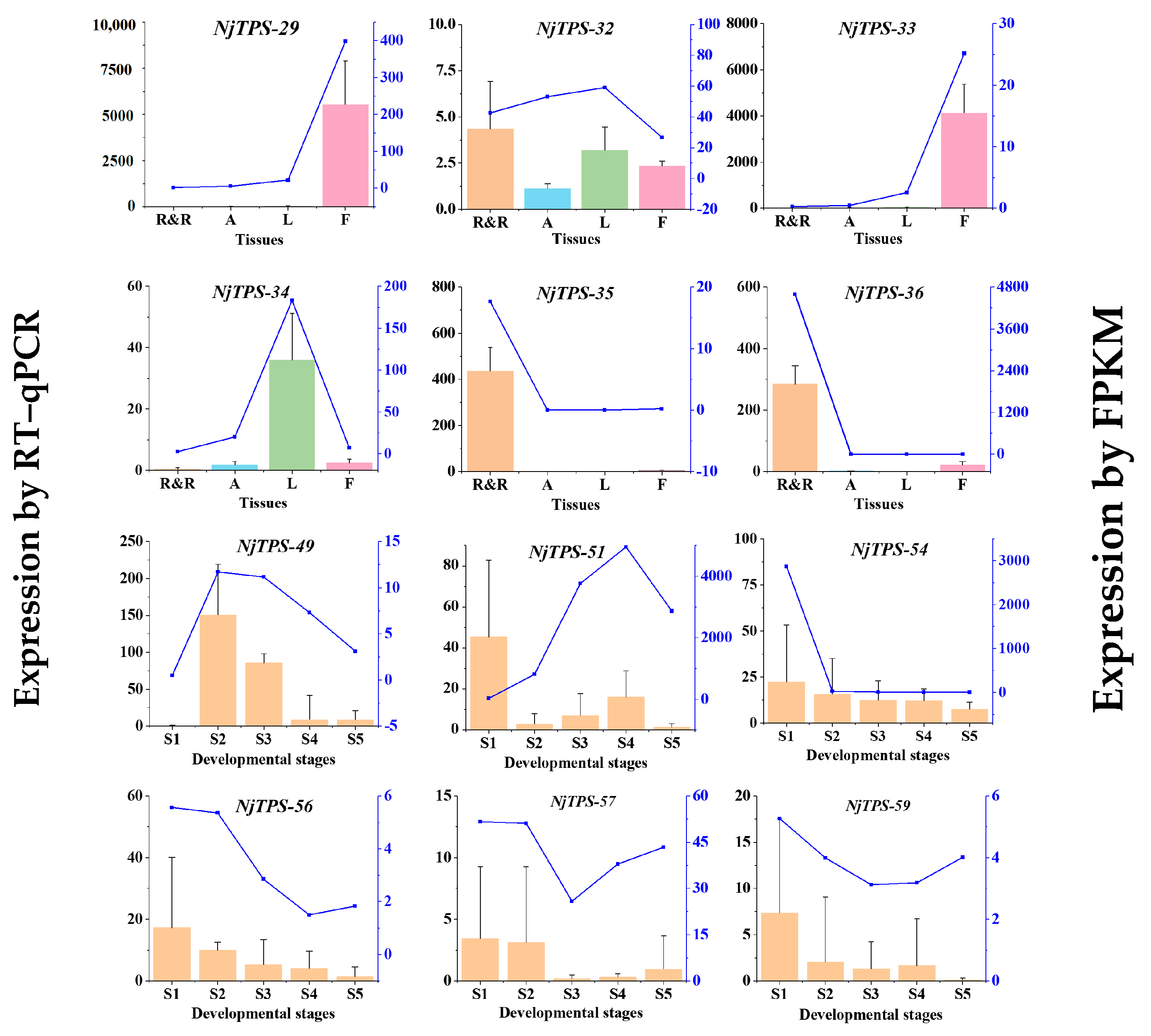 Genes 15 01539 g005 Genes 15 01539 g005