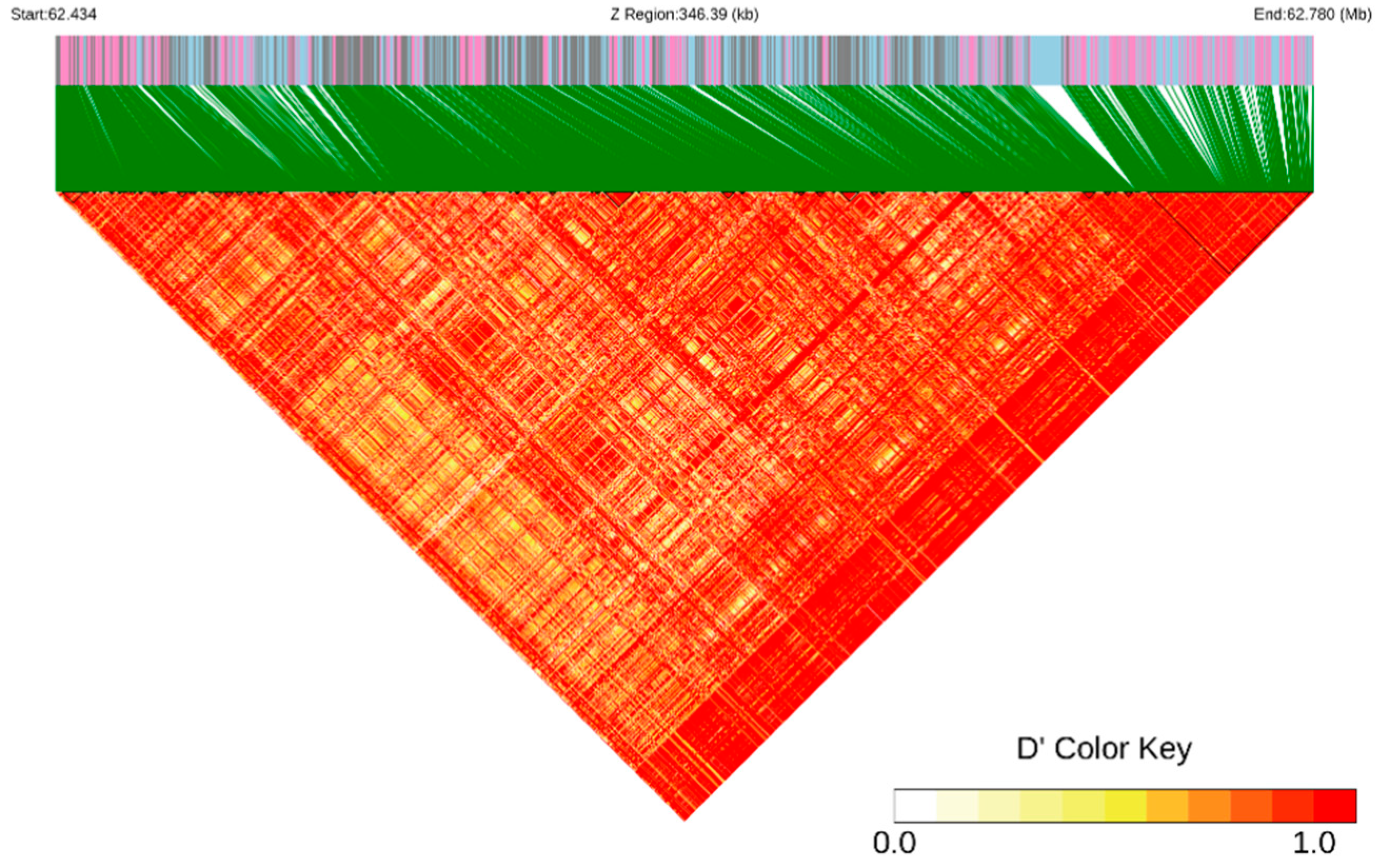 Genes 15 01553 g004 Genes 15 01553 g004