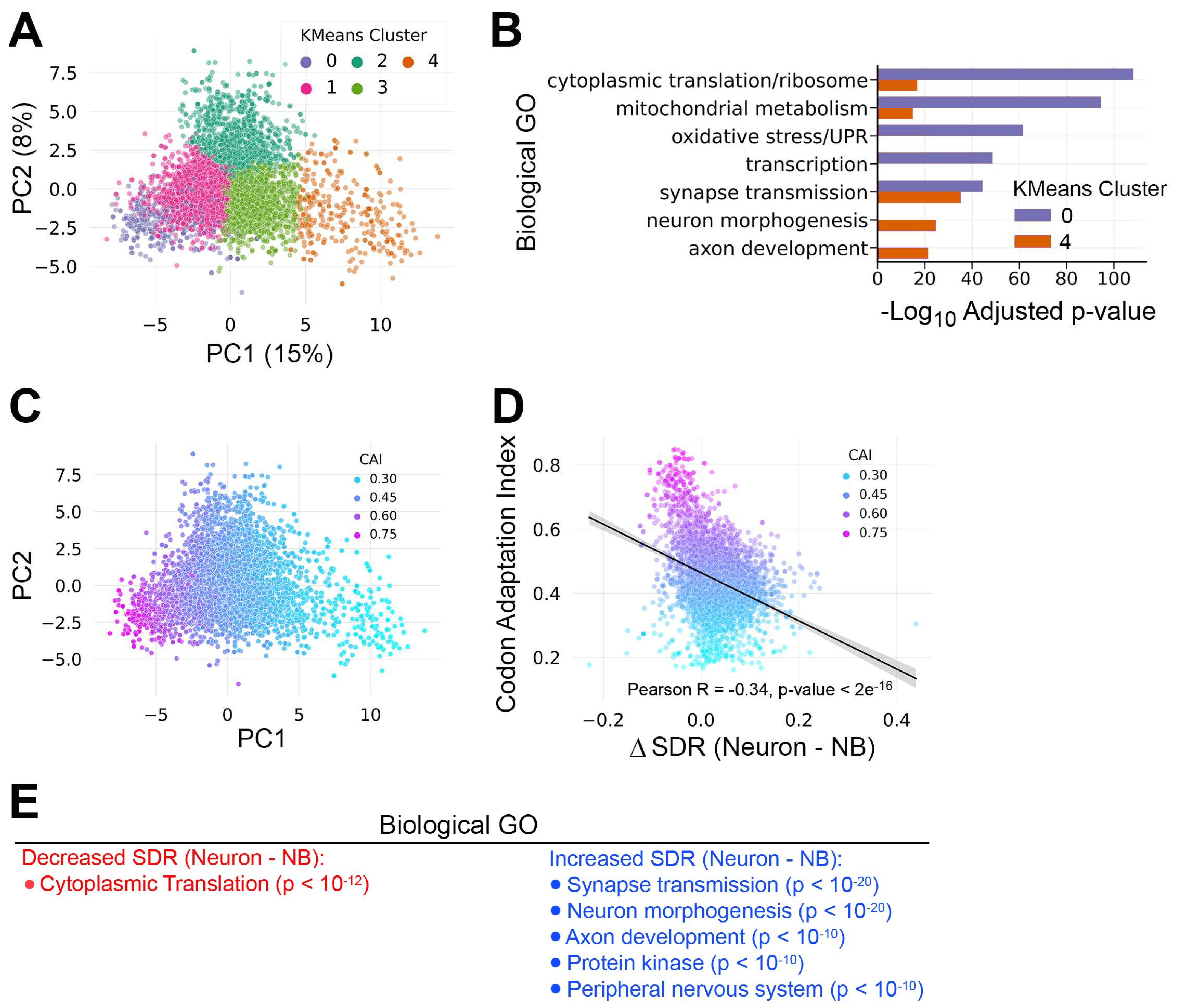 Genes 15 01602 g005
