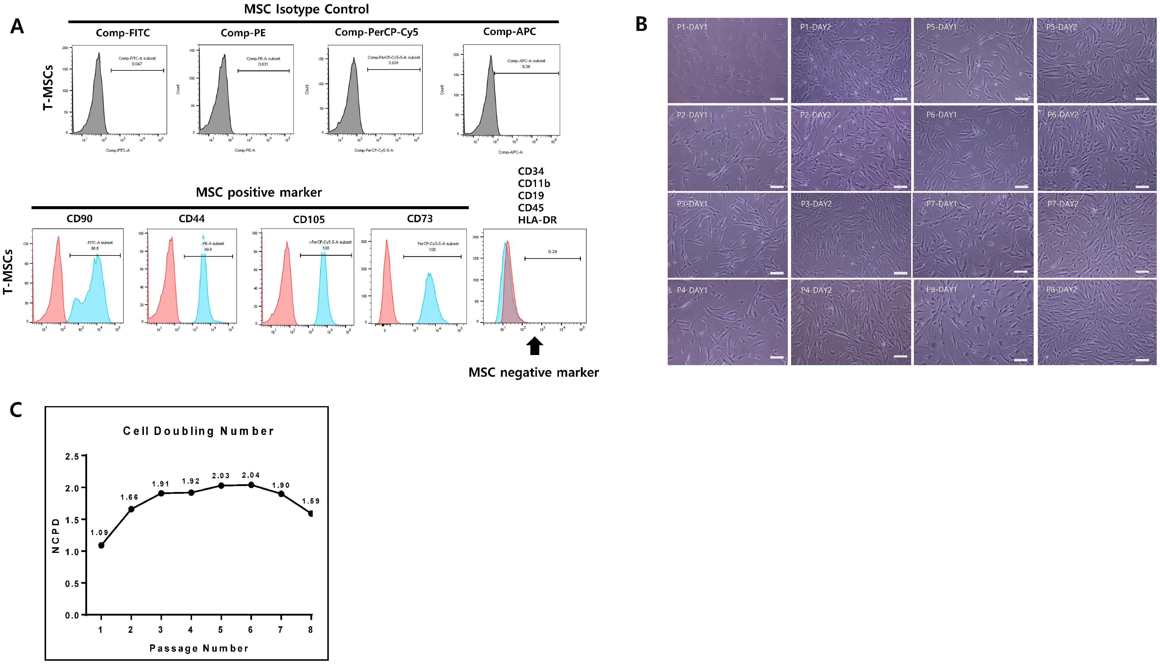 Genes 15 01626 g001 Genes 15 01626 g001