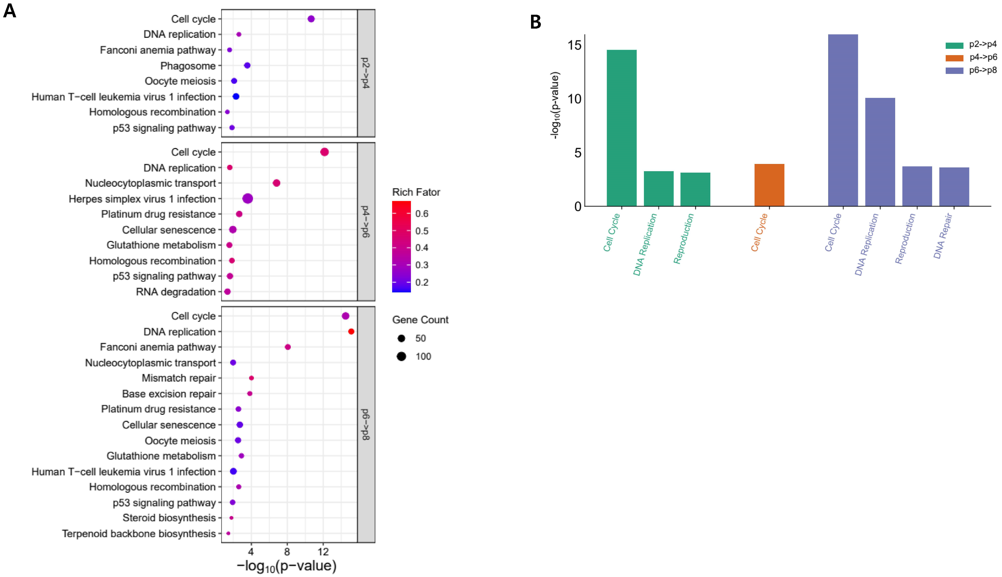Genes 15 01626 g002 Genes 15 01626 g002