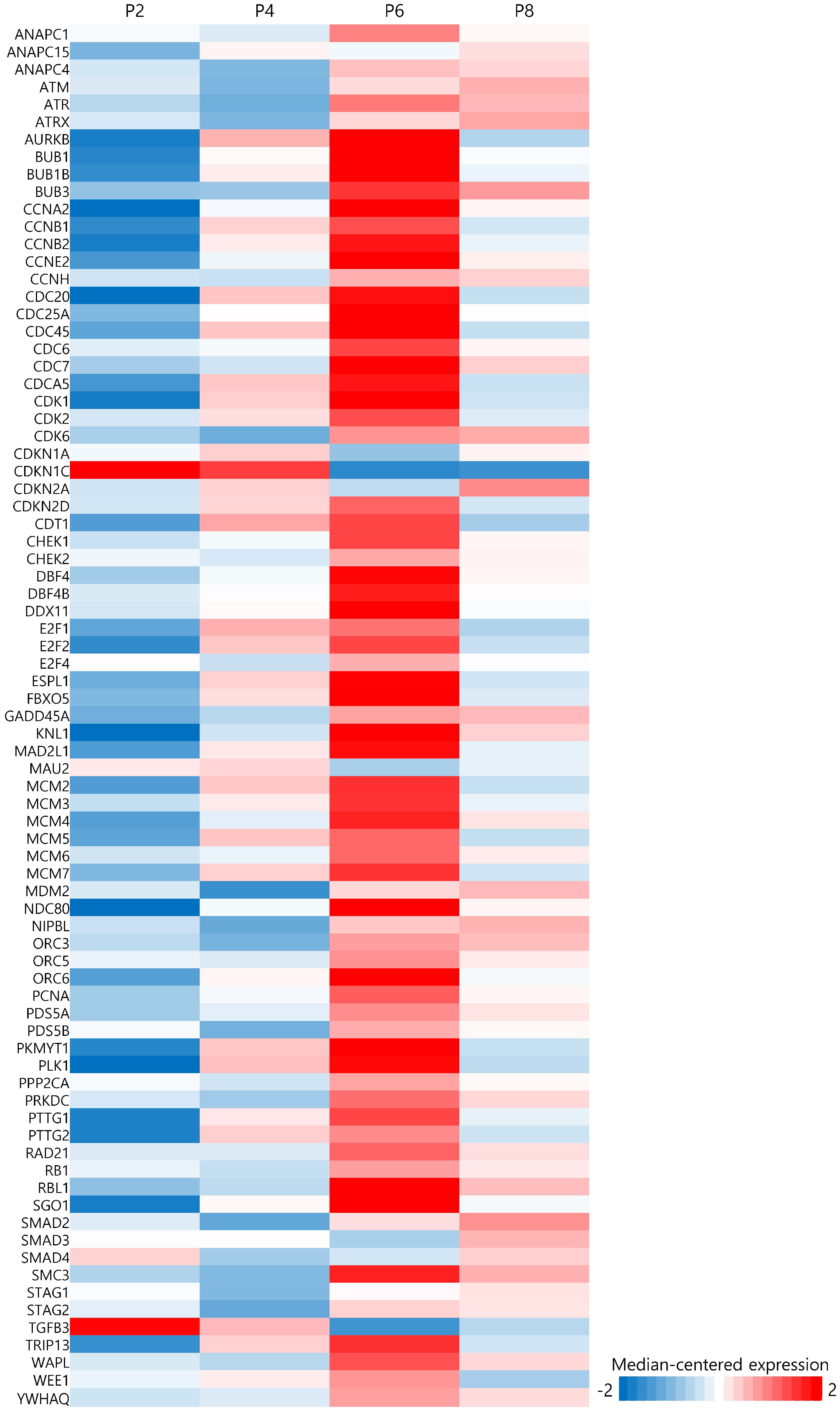 Genes 15 01626 g003 Genes 15 01626 g003
