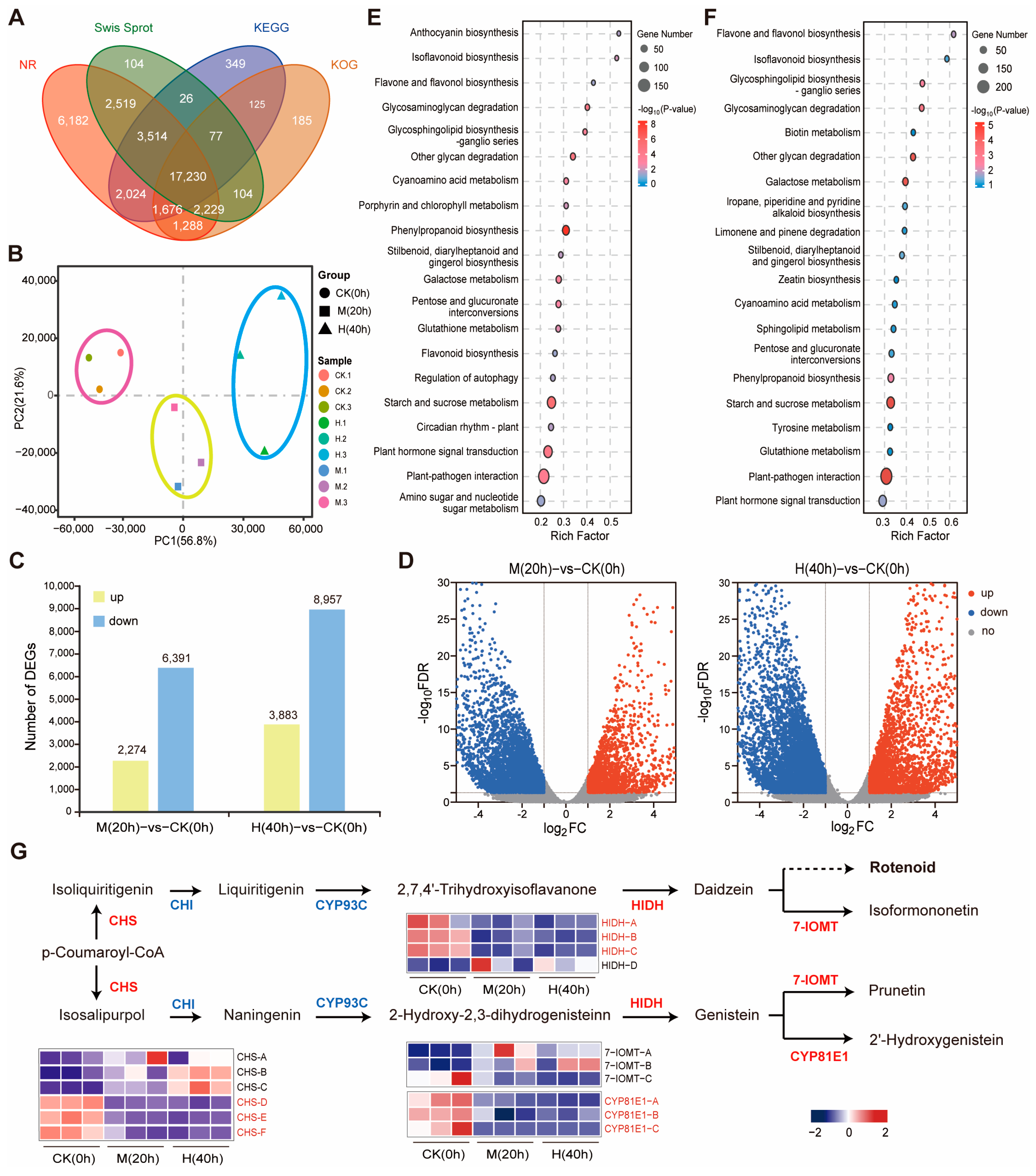 Genes 15 01644 g002 Genes 15 01644 g002