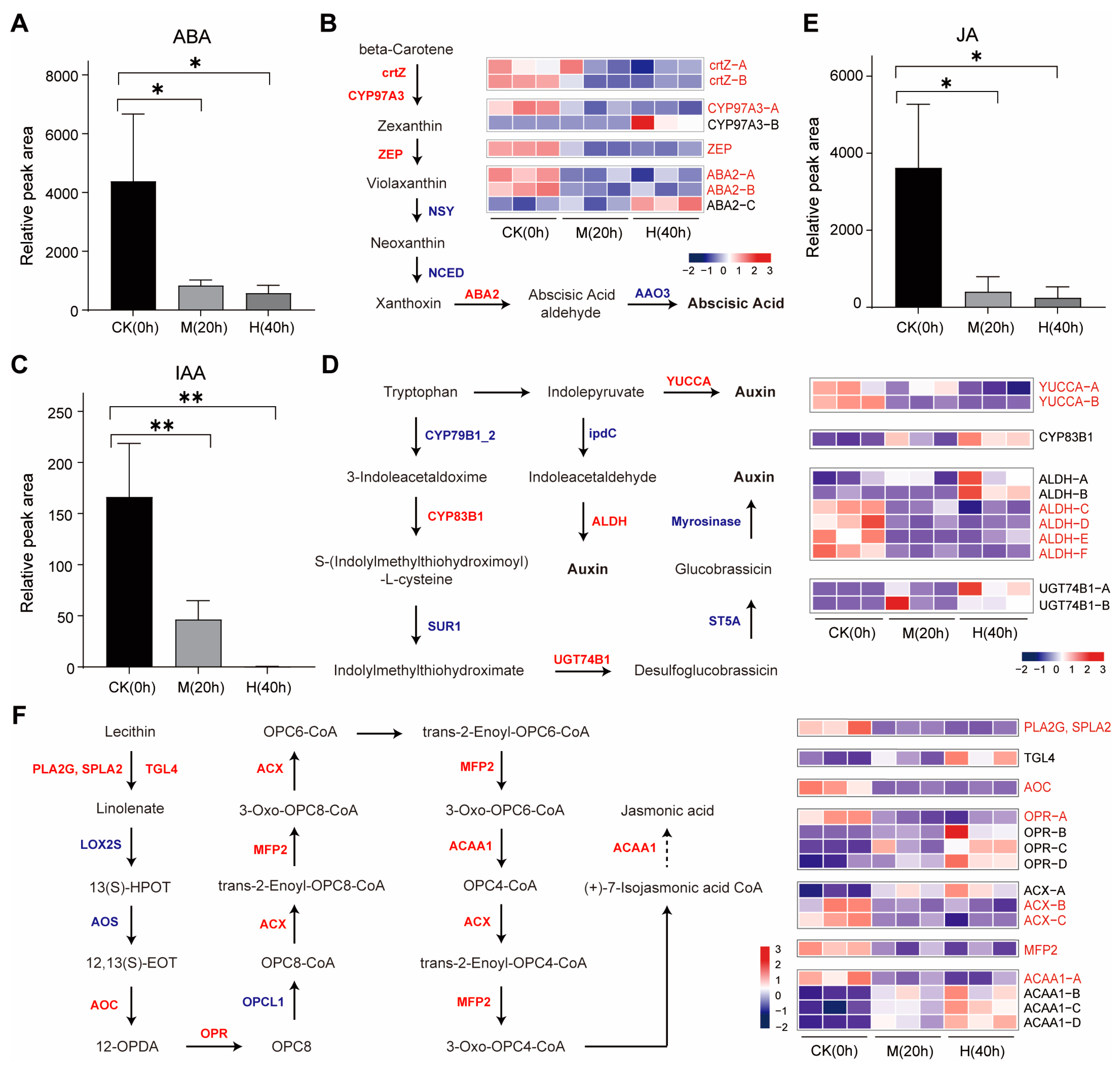 Genes 15 01644 g003 Genes 15 01644 g003