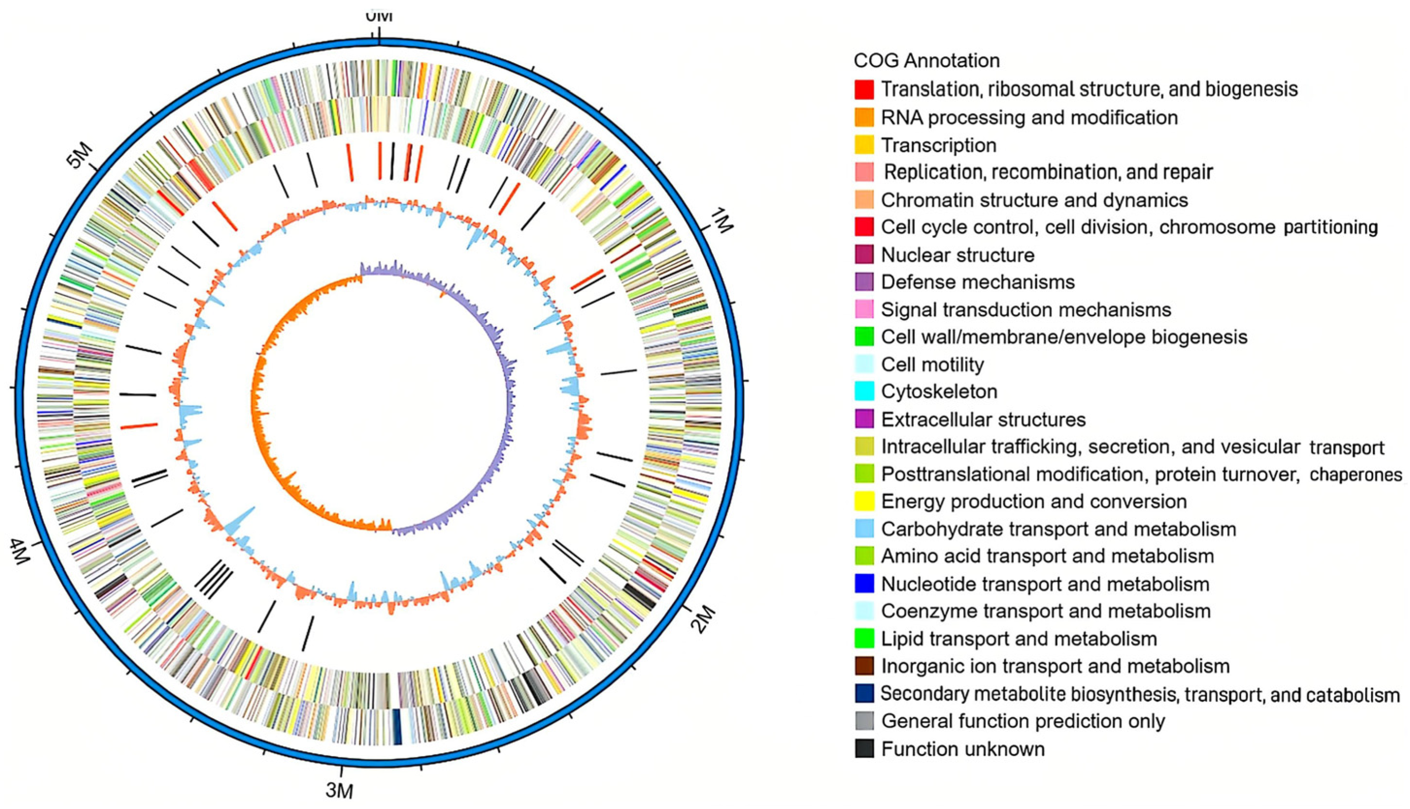 Genes 16 00013 g001
