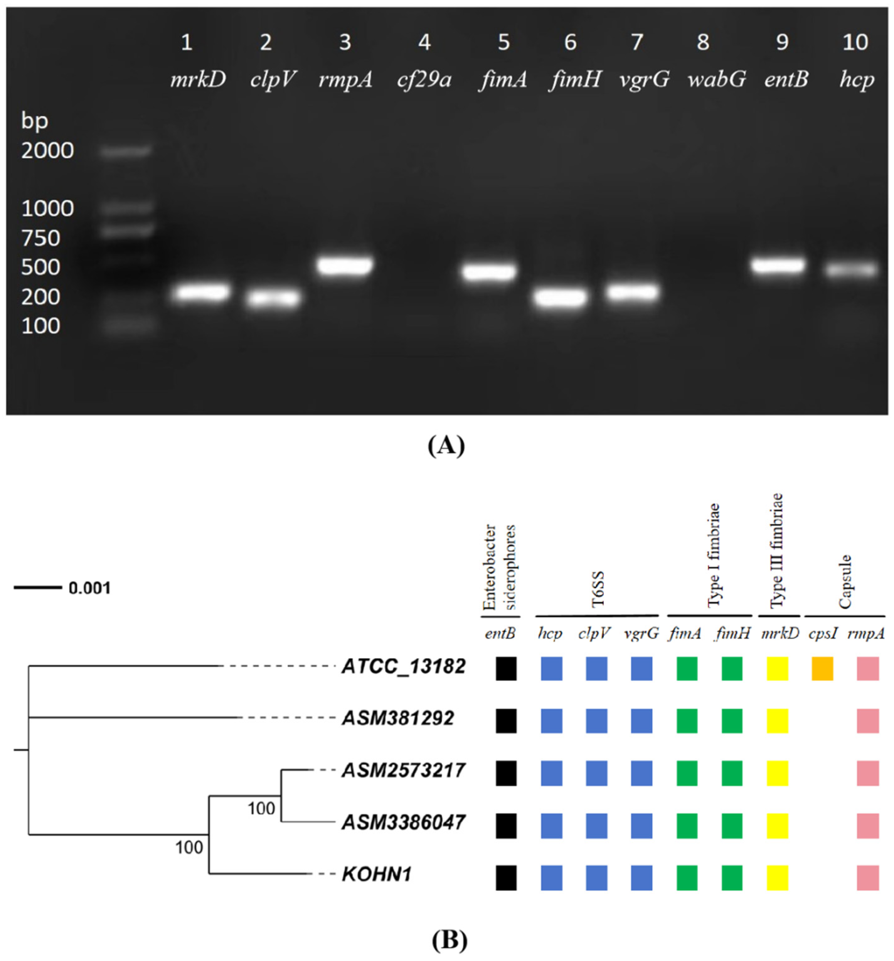 Genes 16 00013 g004