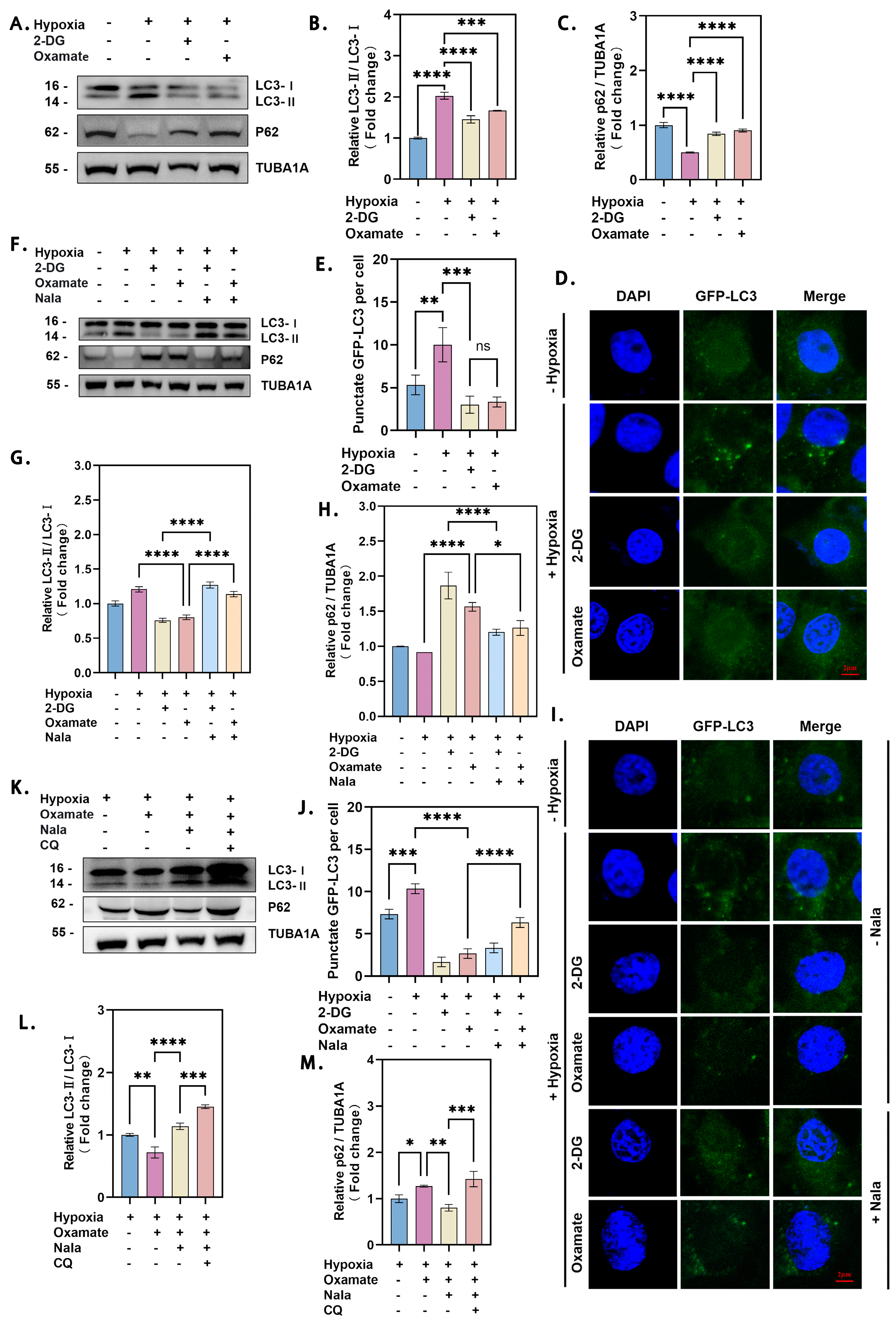 Genes 16 00014 g001 Genes 16 00014 g001