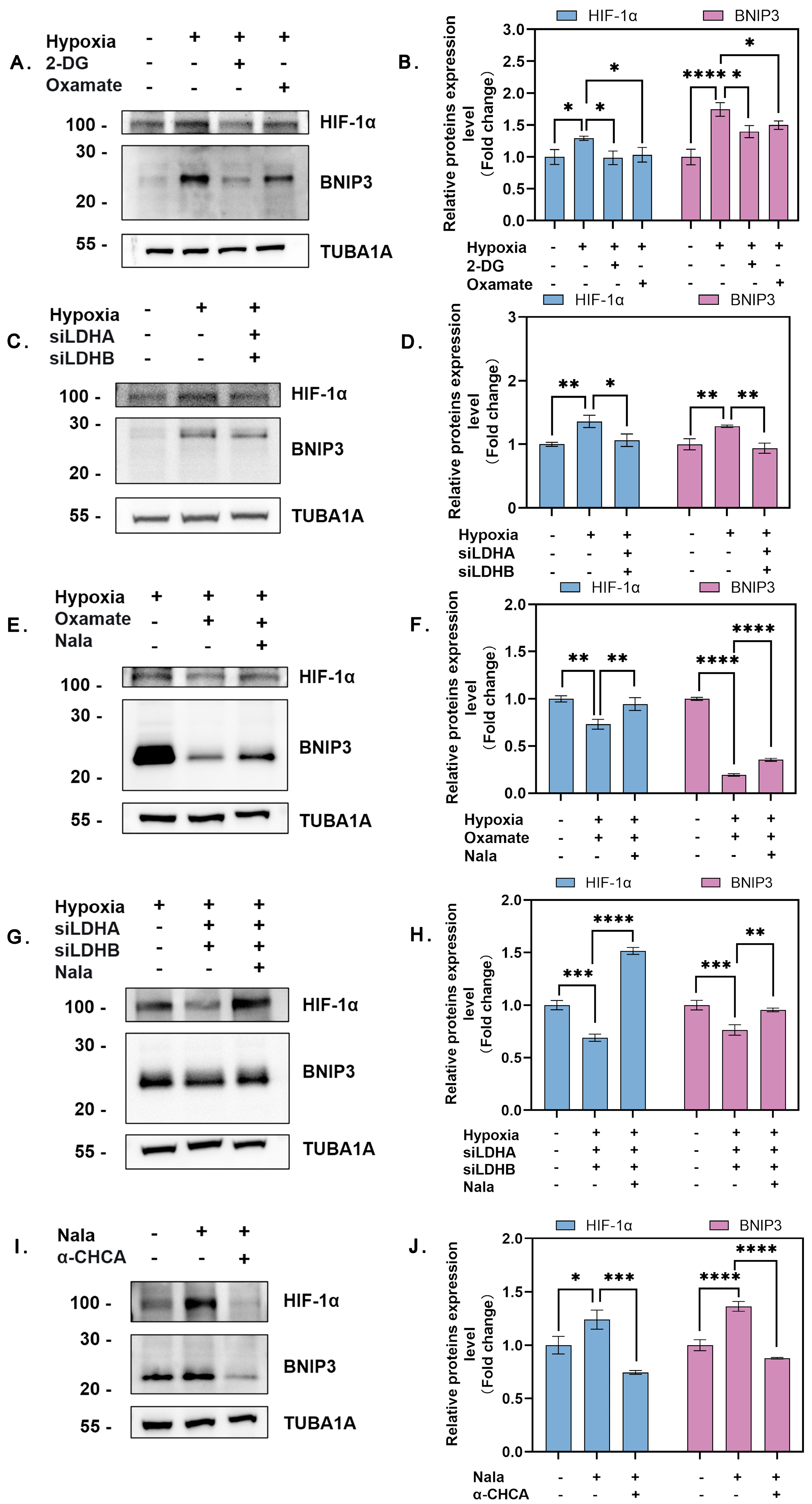 Genes 16 00014 g003 Genes 16 00014 g003