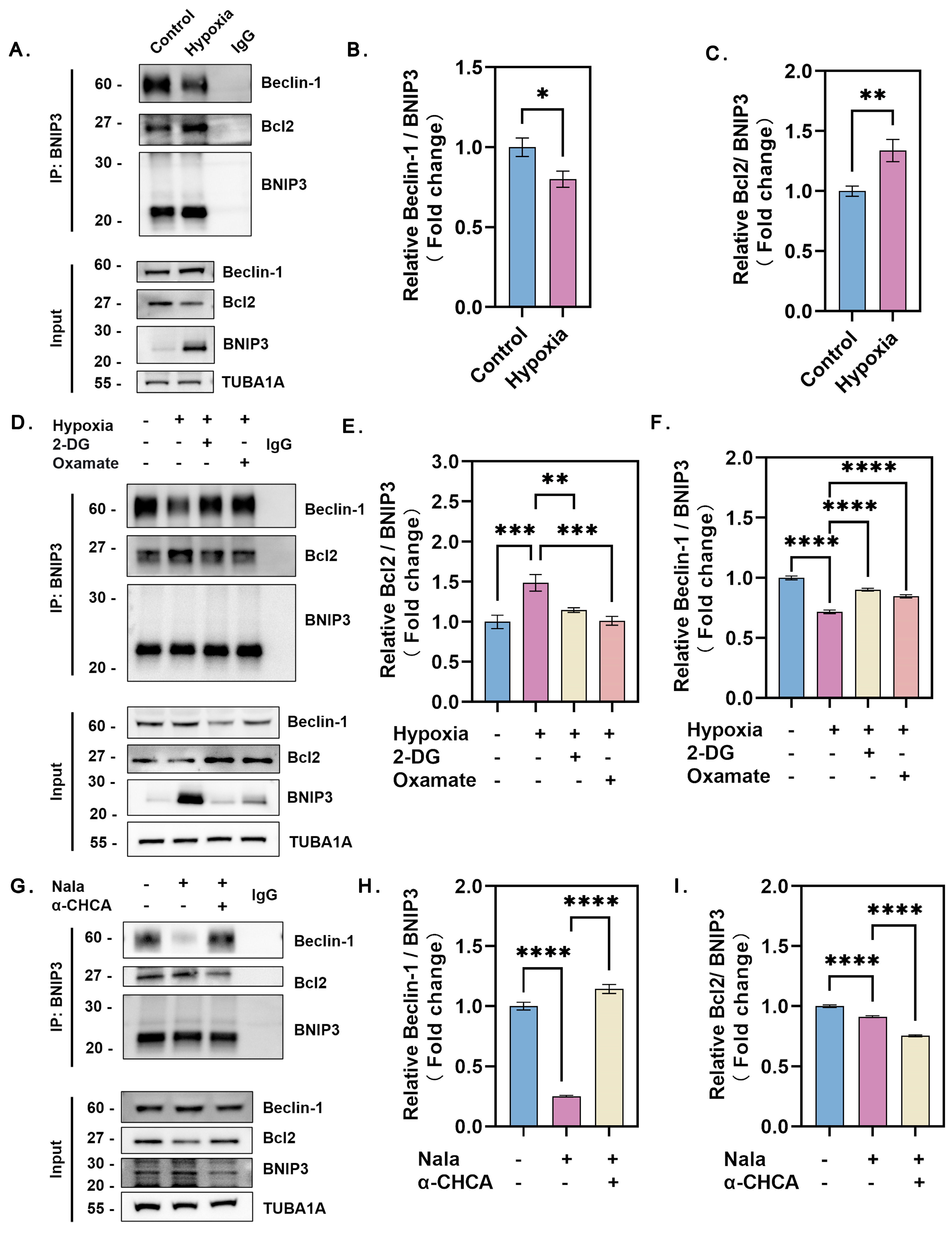 Genes 16 00014 g006 Genes 16 00014 g006