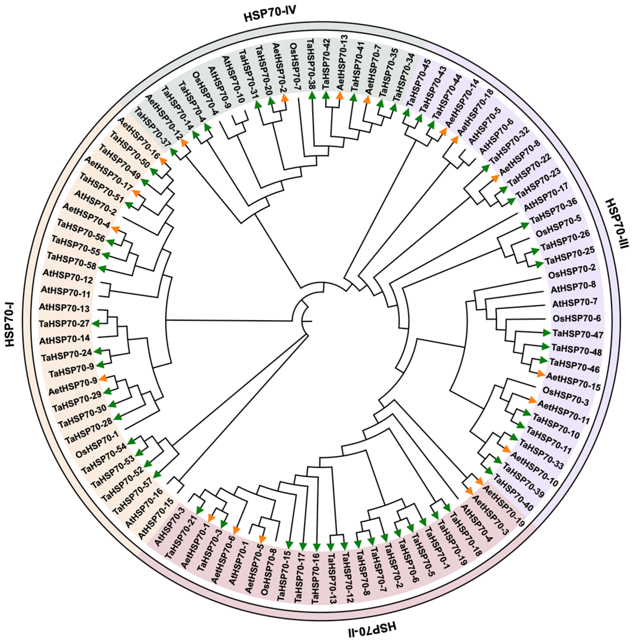 Genes 16 00019 g001 Genes 16 00019 g001