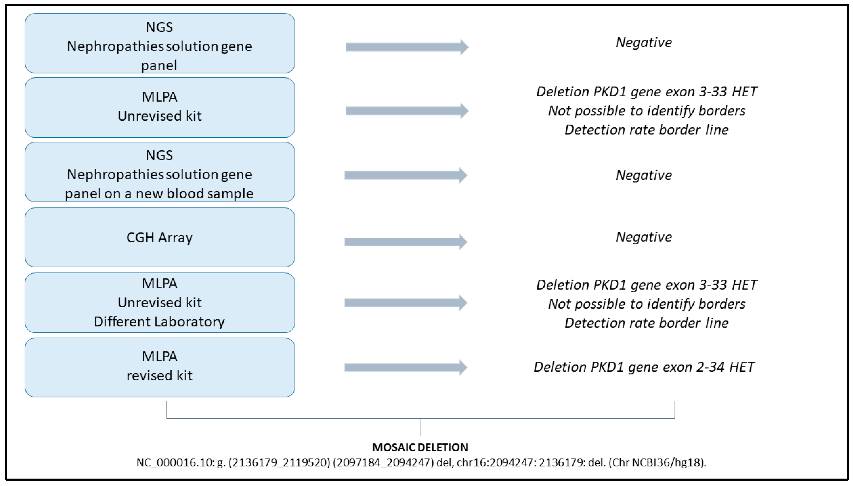 Genes 16 00039 g003