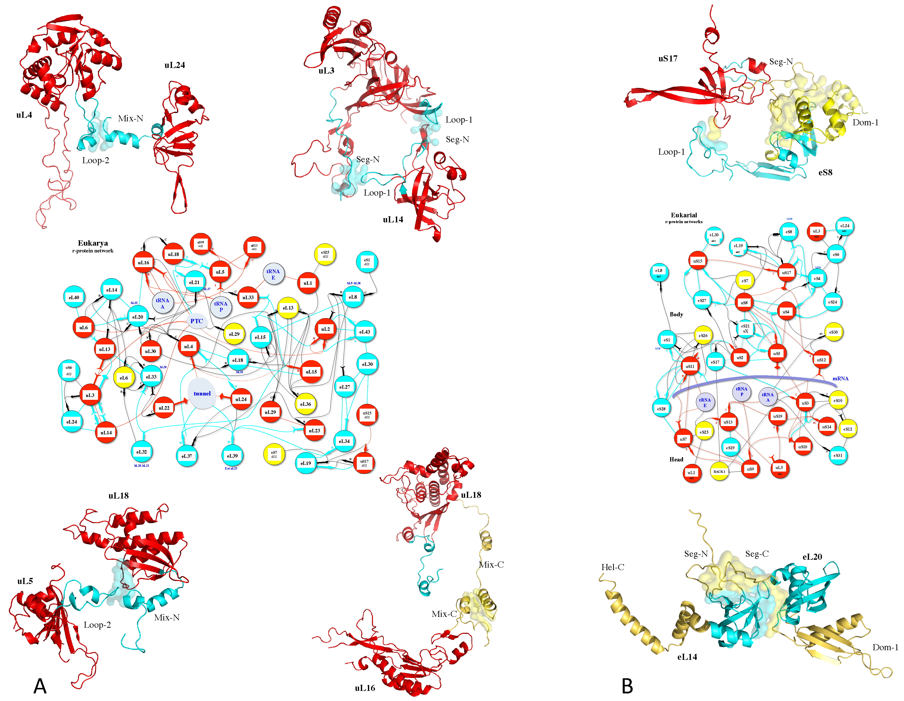 Genes 16 00045 g002 Genes 16 00045 g002