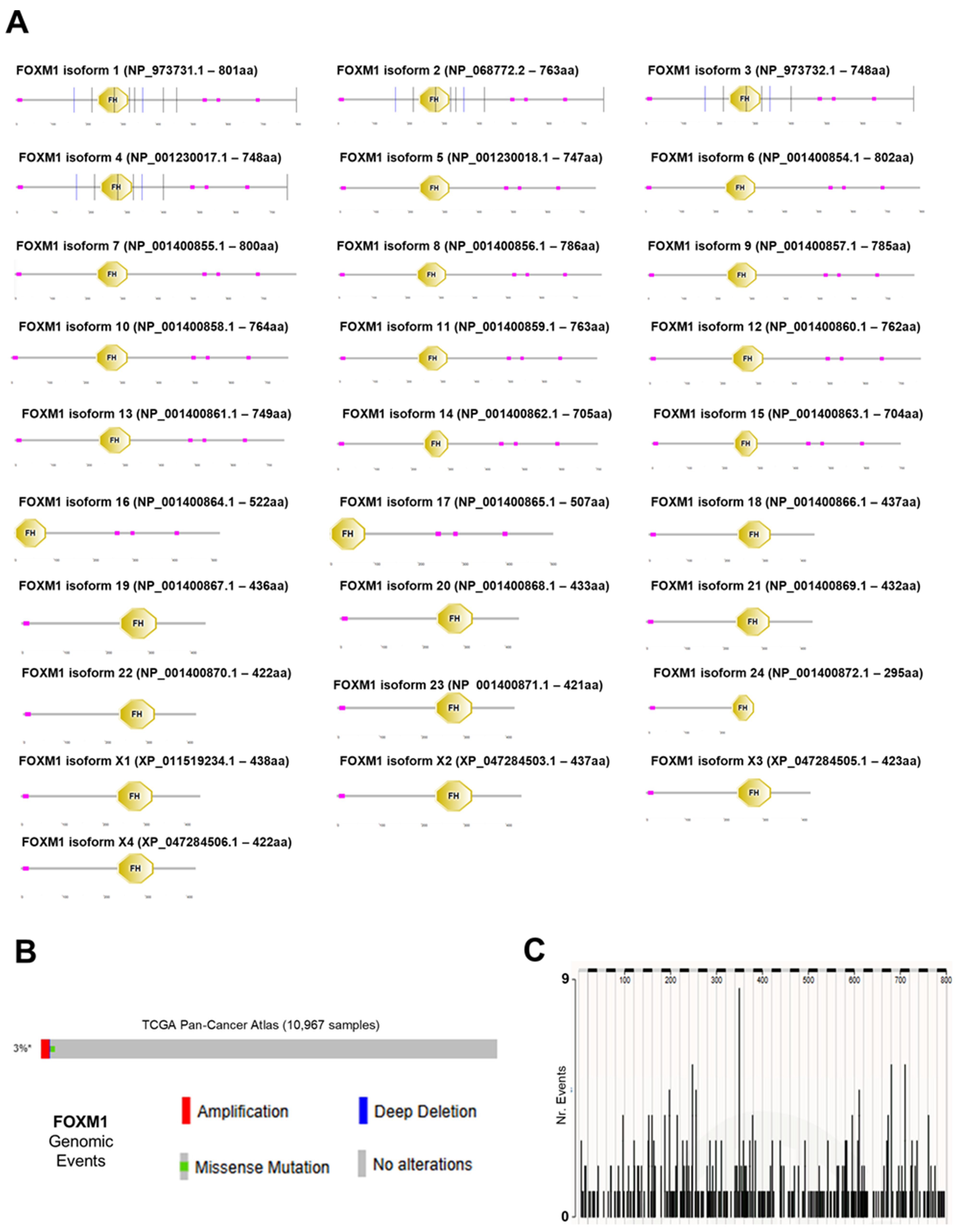 Genes 16 00056 g001