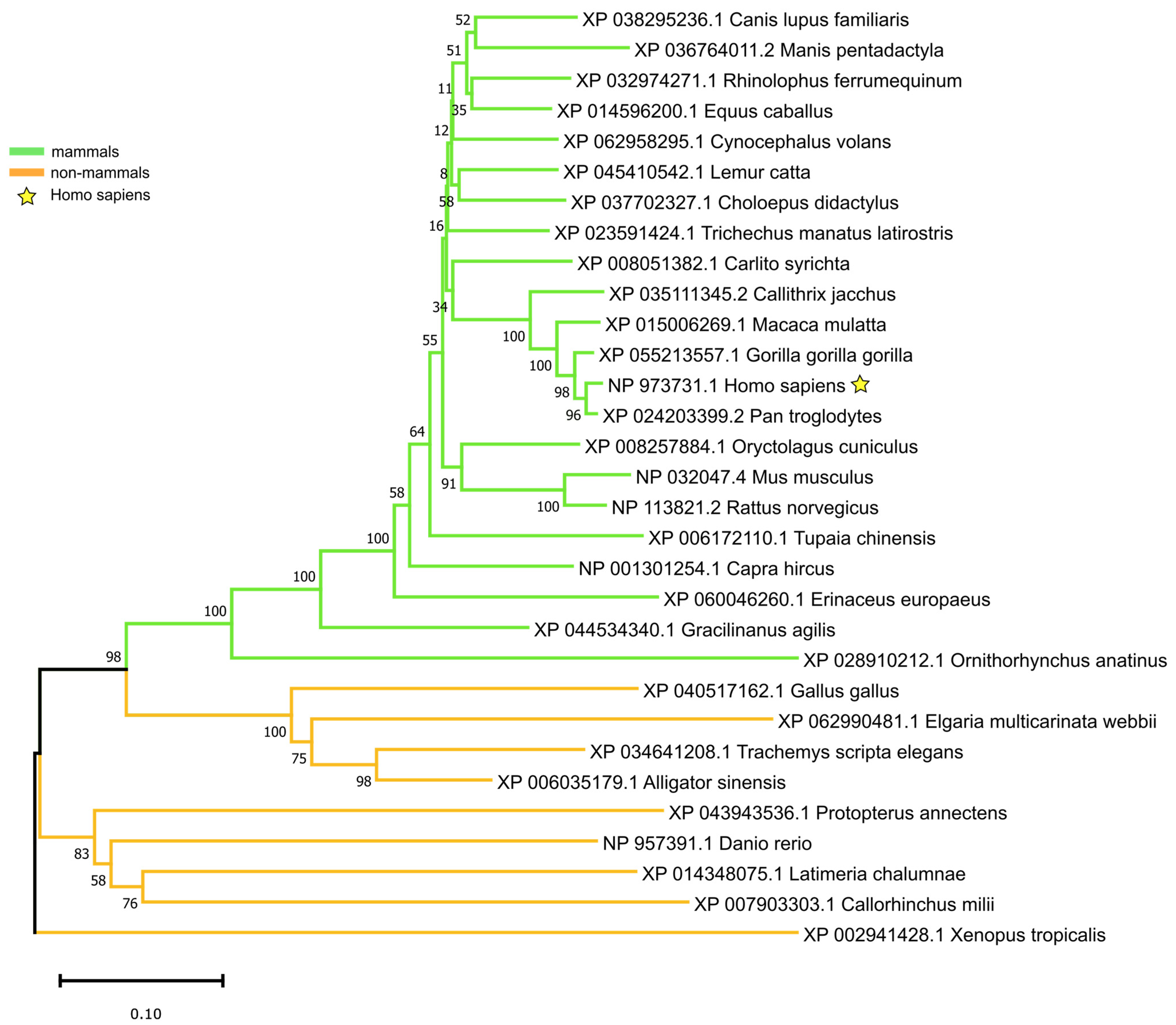 Genes 16 00056 g002