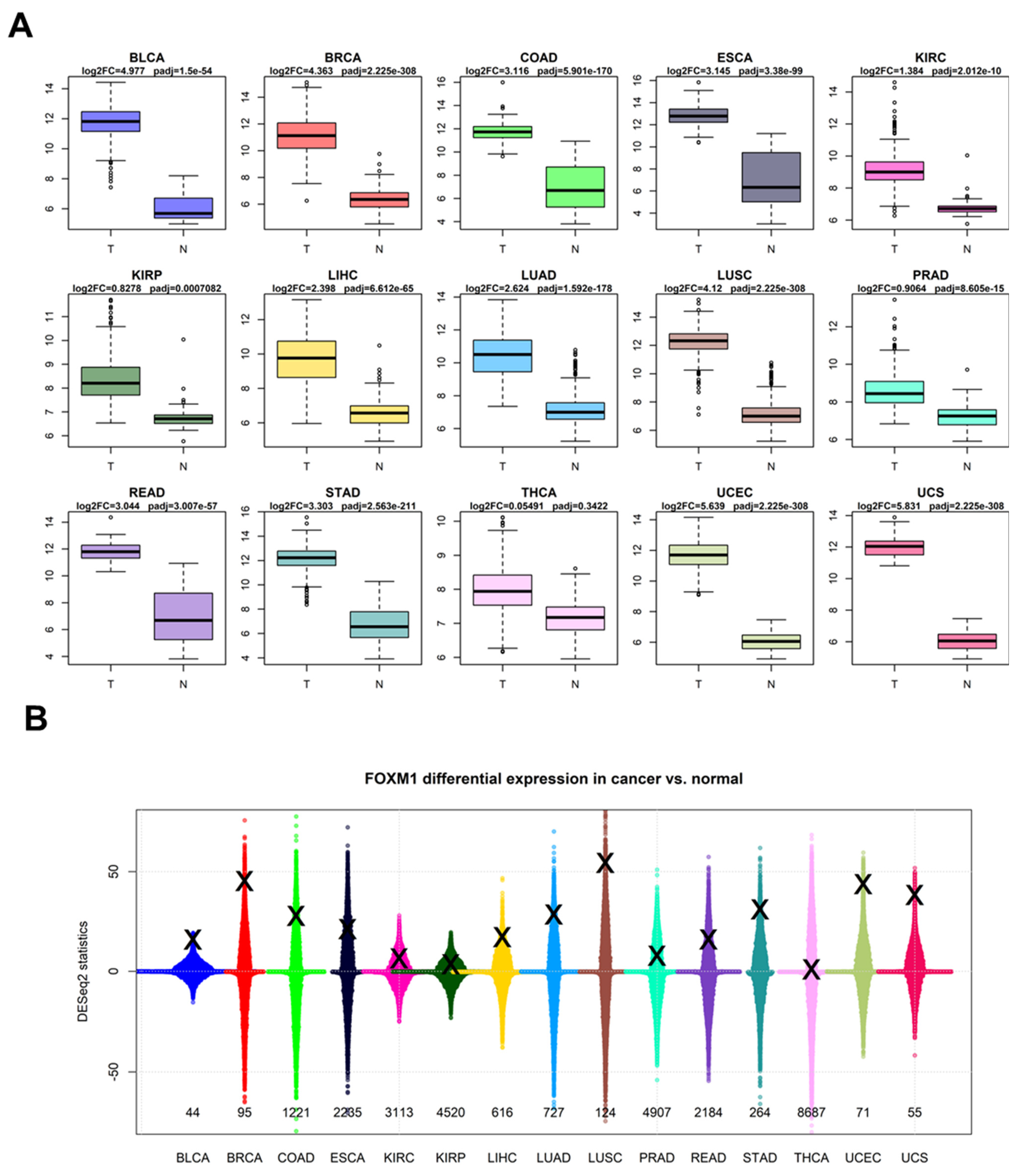 Genes 16 00056 g003