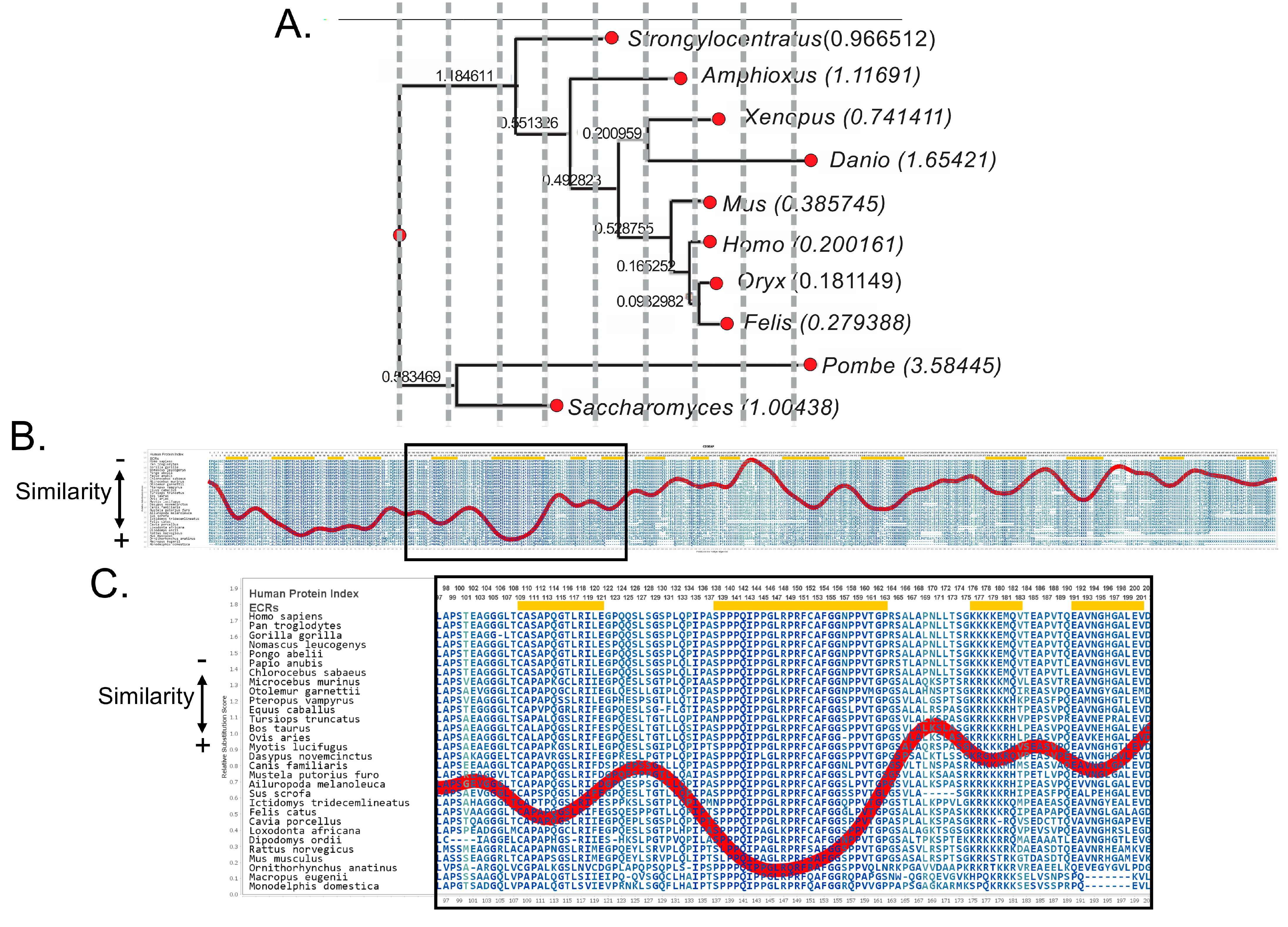 Genes 16 00061 g001 Genes 16 00061 g001