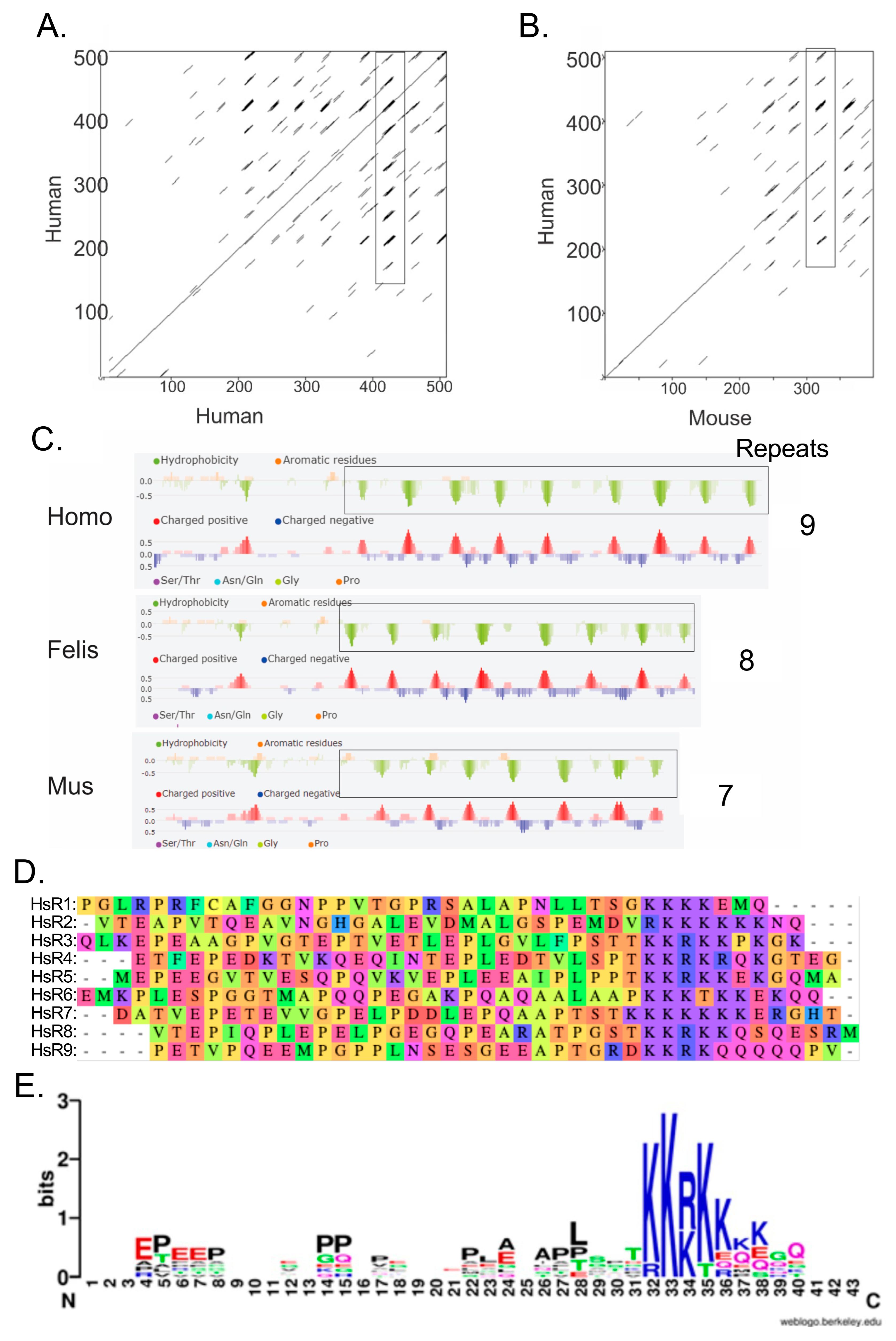 Genes 16 00061 g003 Genes 16 00061 g003