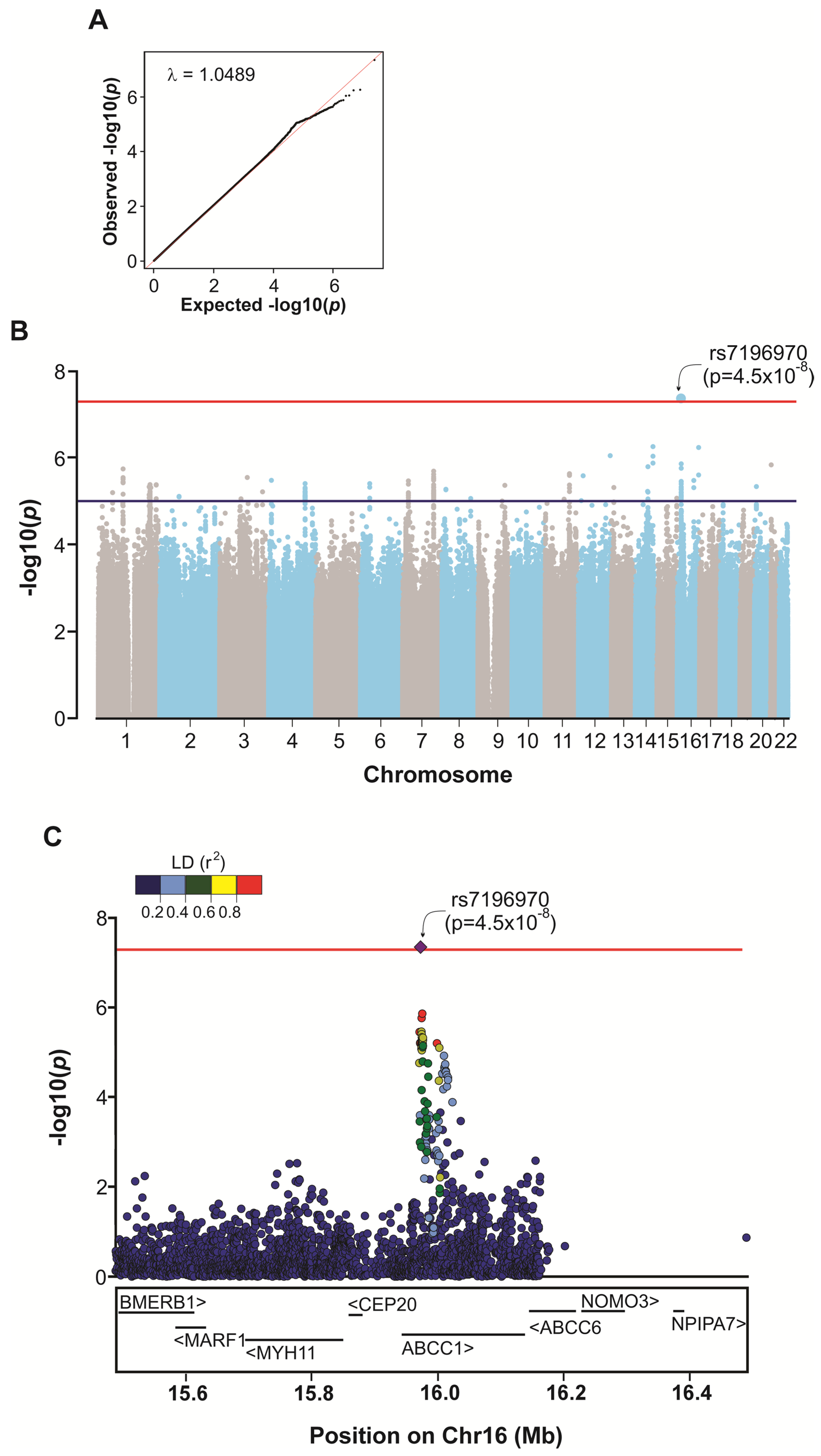 Genes 16 00063 g002 Genes 16 00063 g002