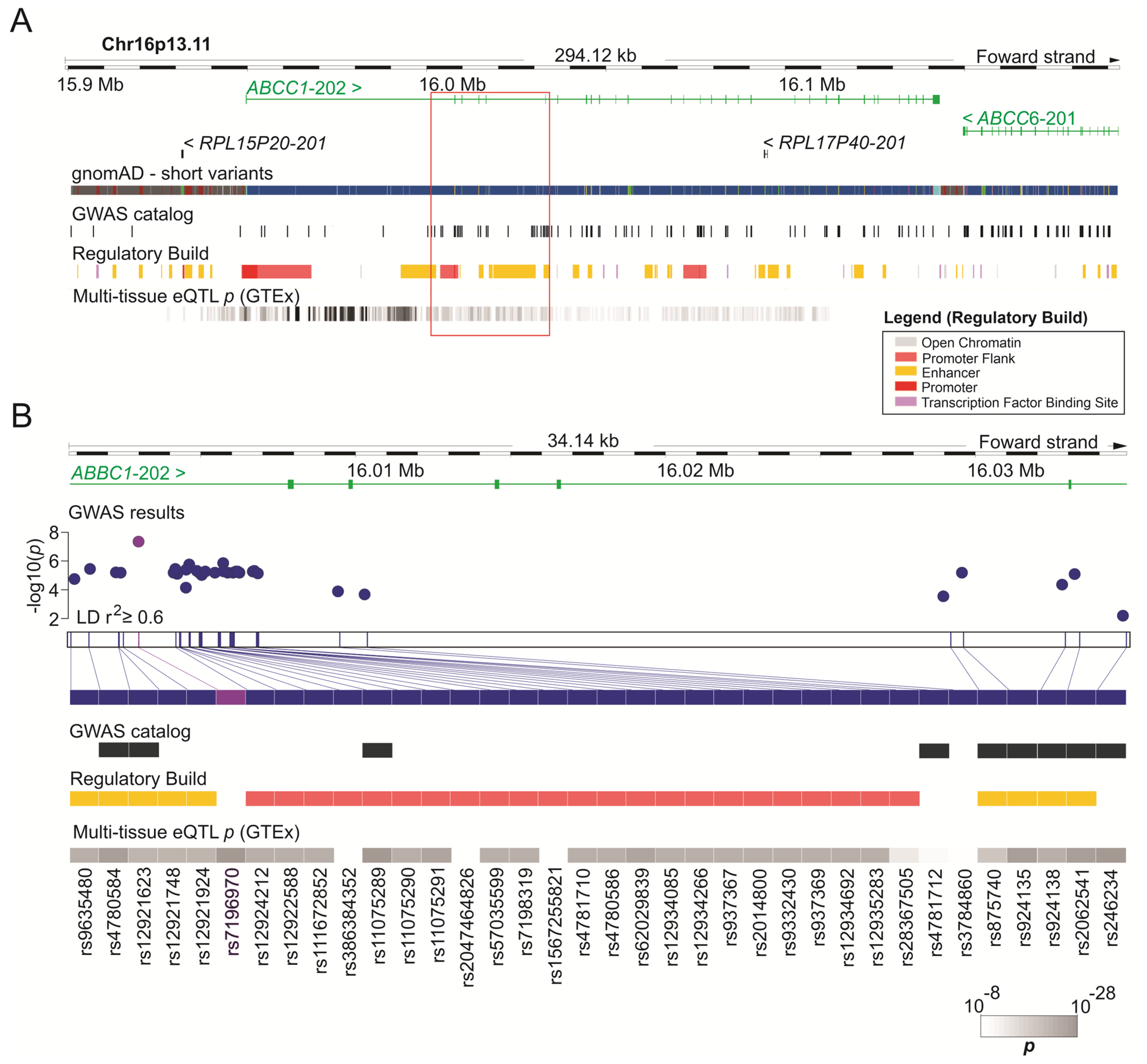 Genes 16 00063 g003 Genes 16 00063 g003