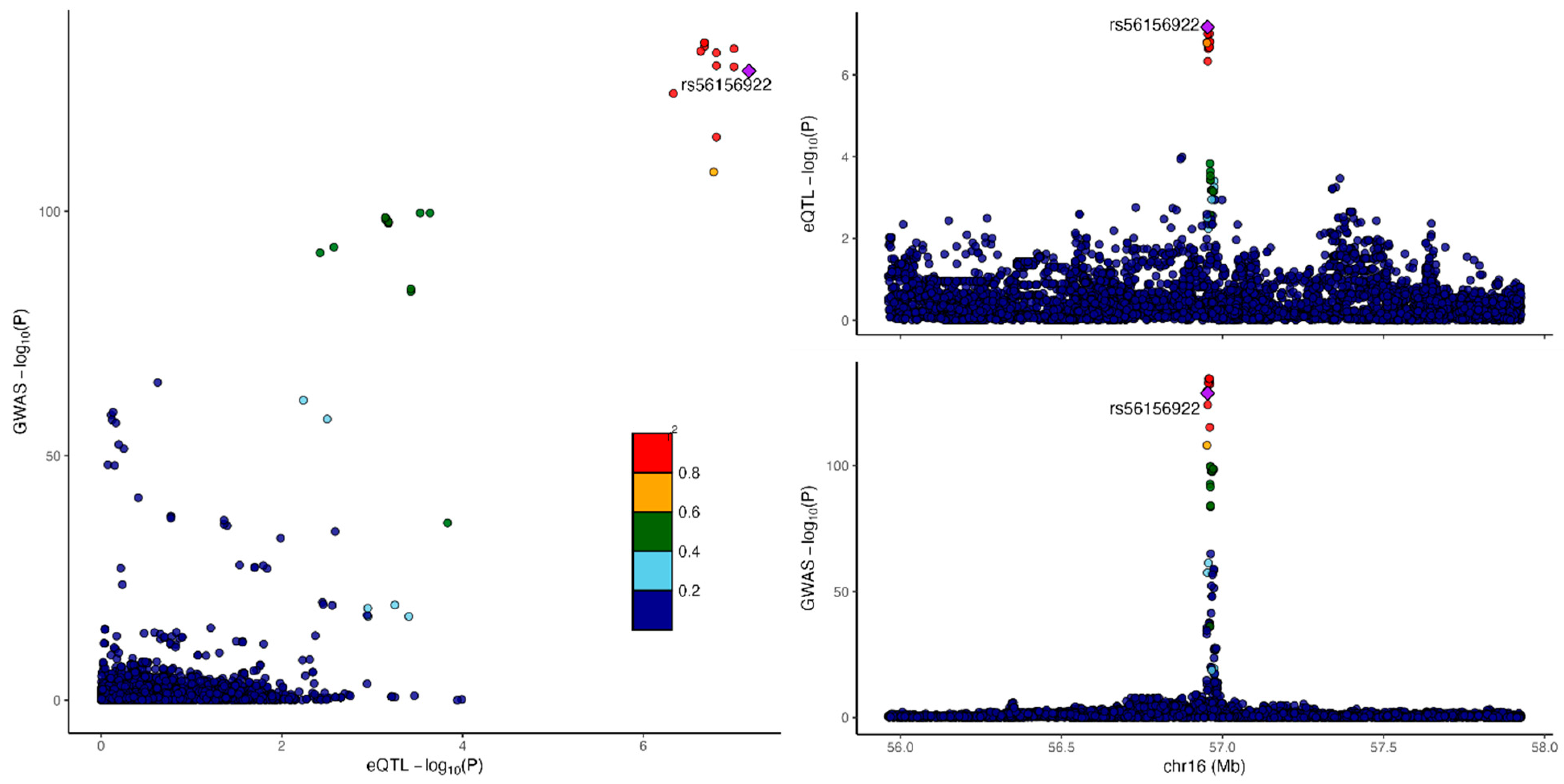 Genes 16 00084 g003